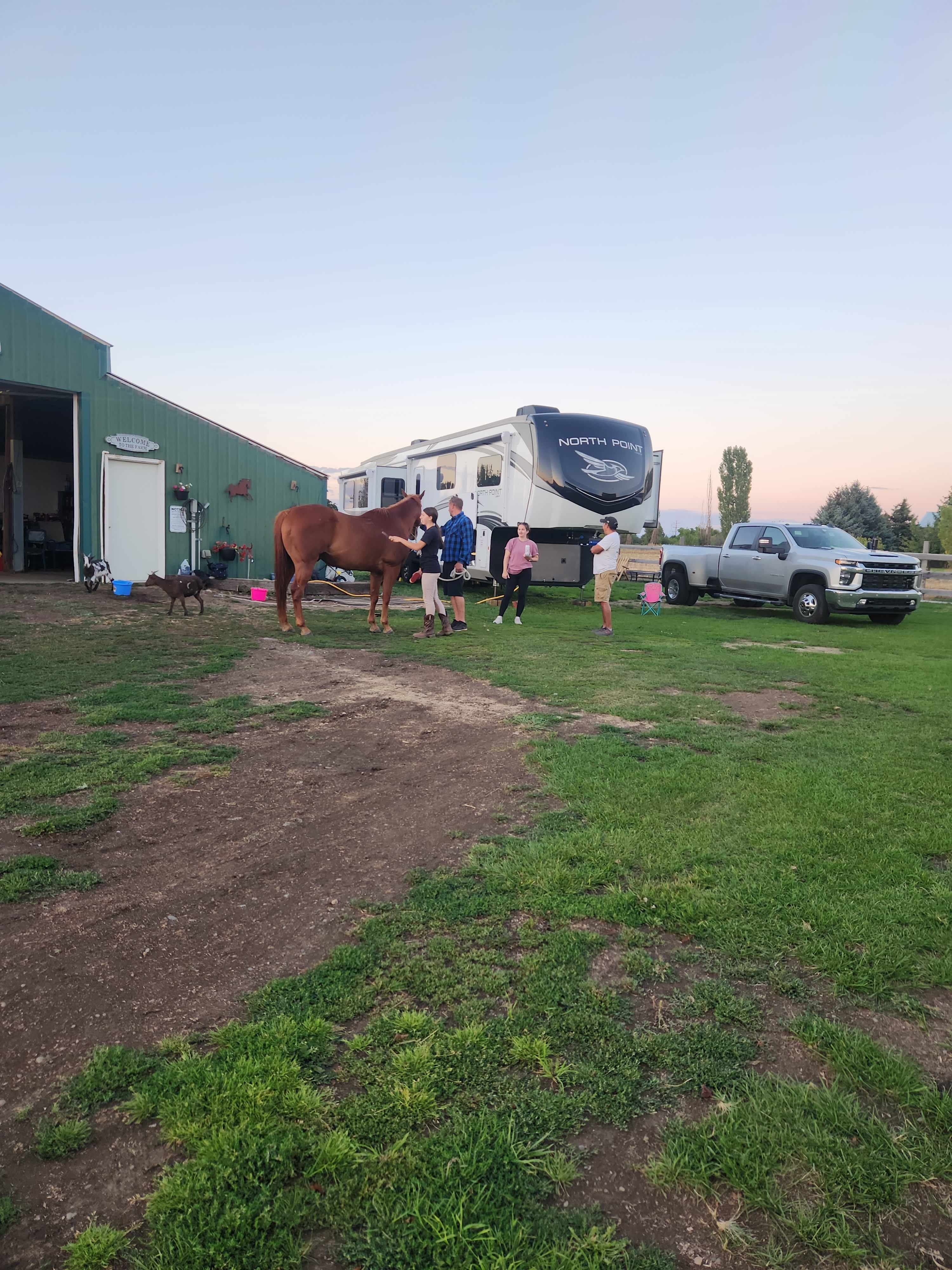 B-T-B Horse Boarding &  Hotel