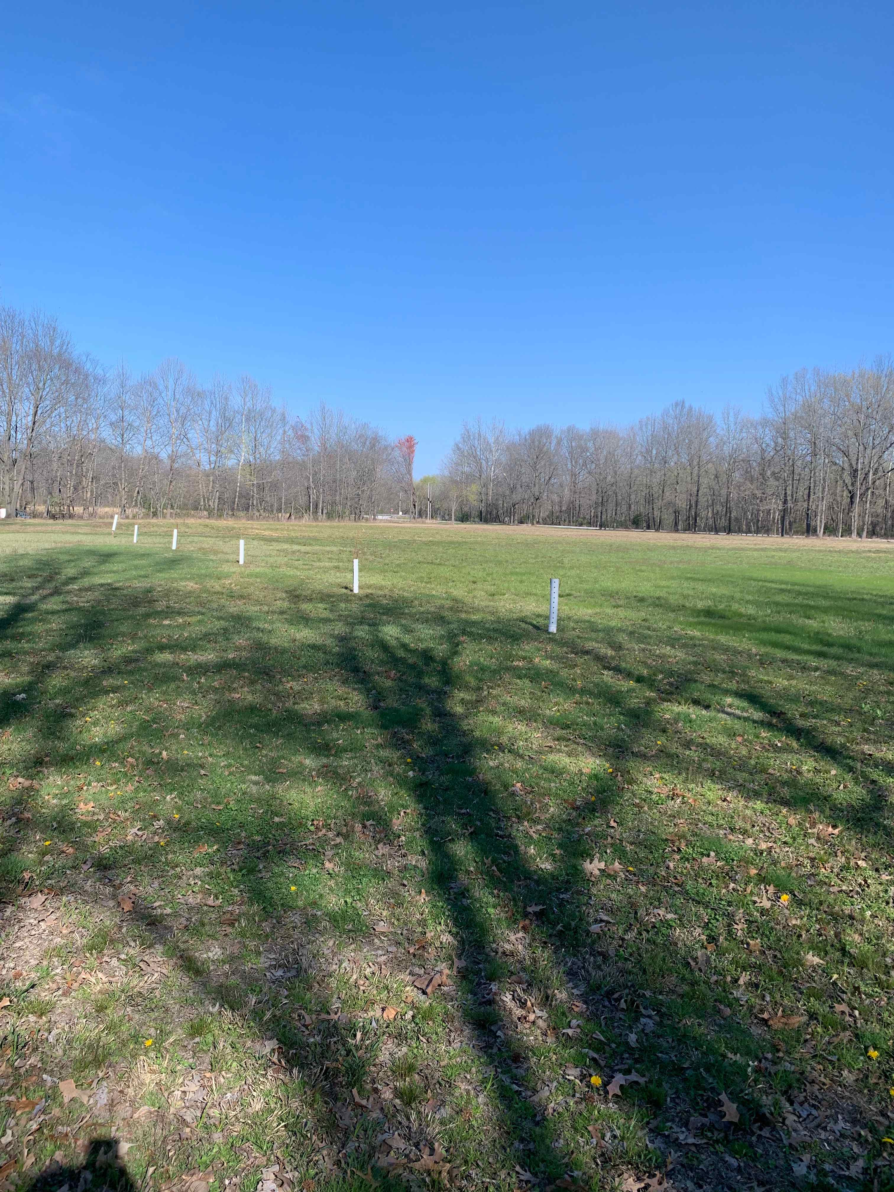 Rock Hole Meadow