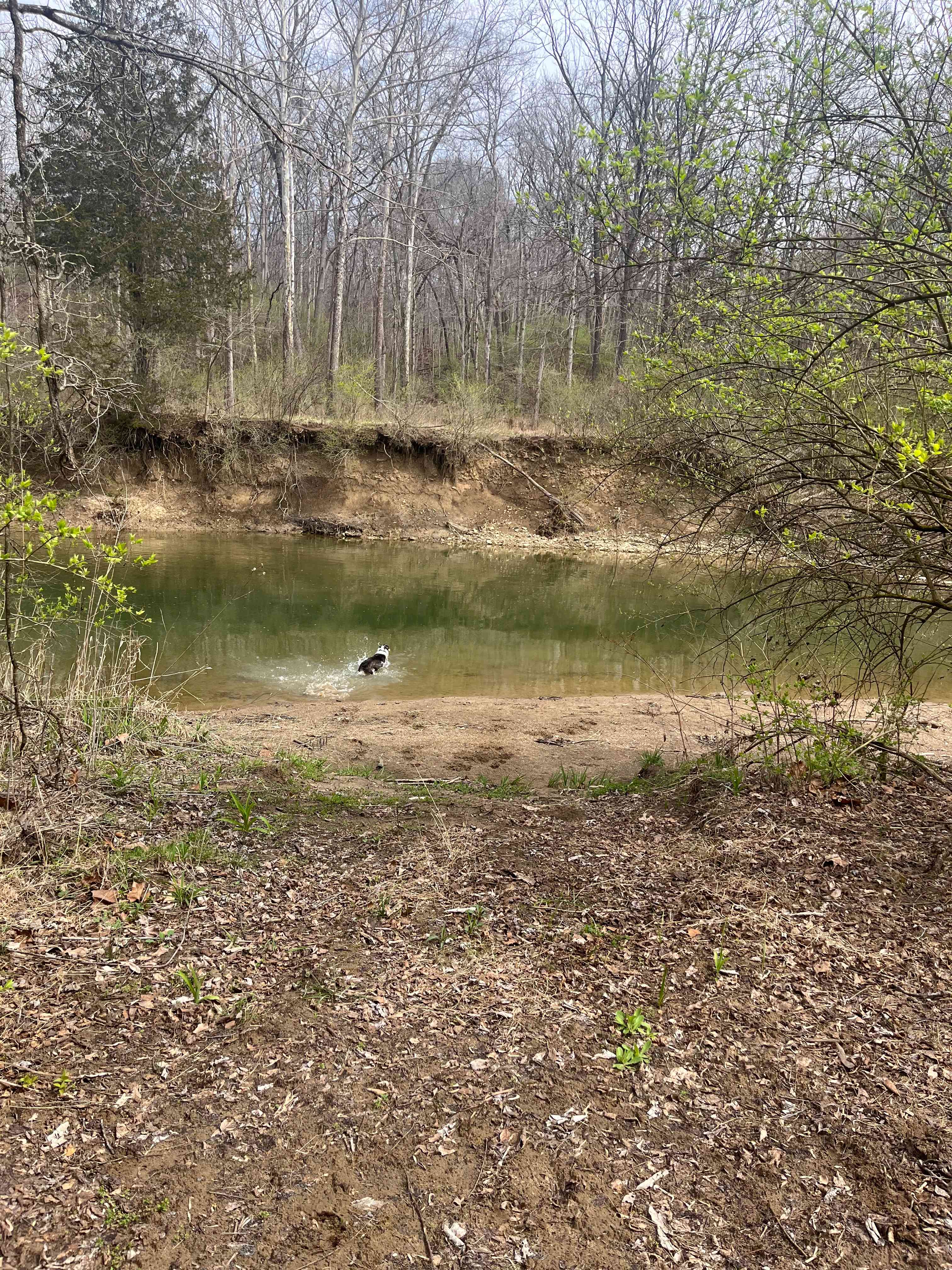 Quiet Creek Valley