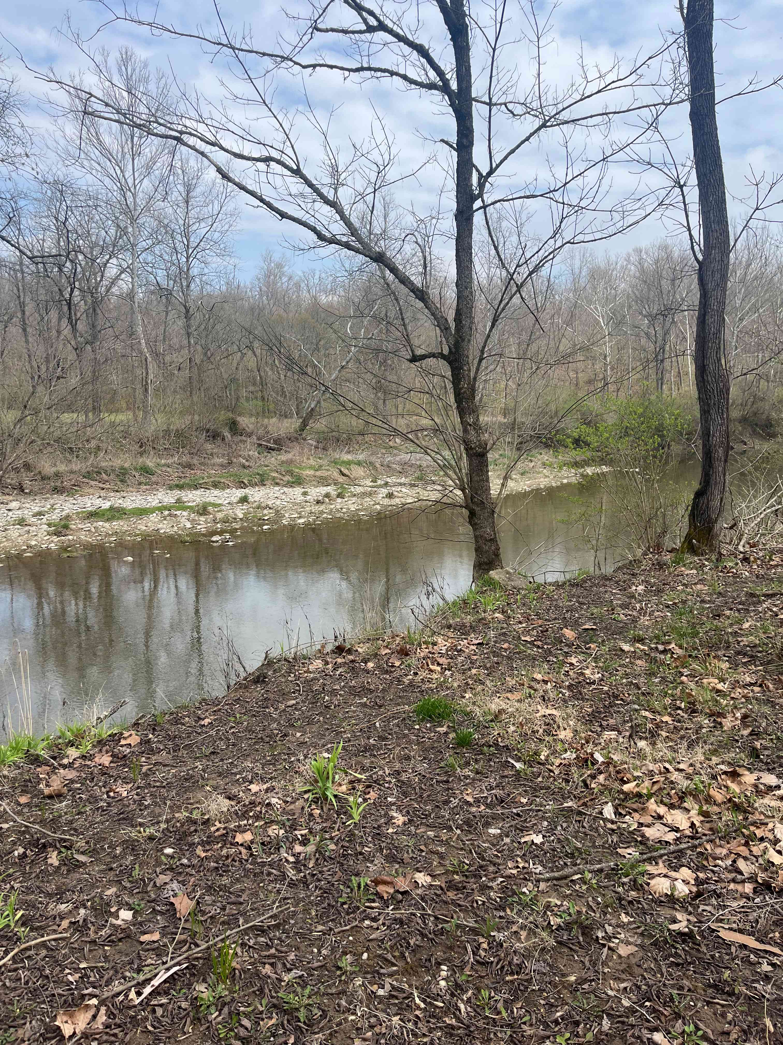 Quiet Creek Valley