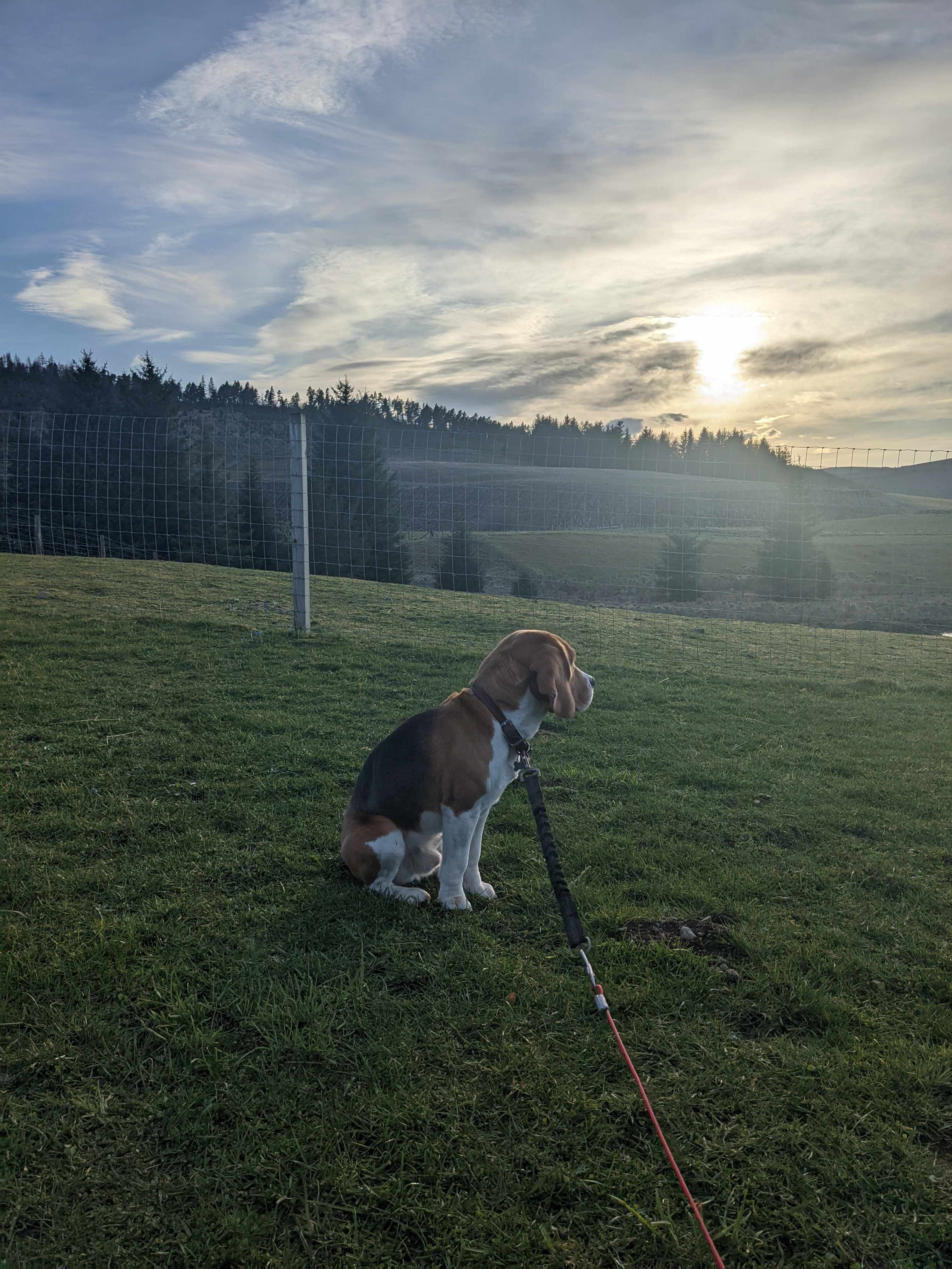 Cairngorms Glamping and Campsite