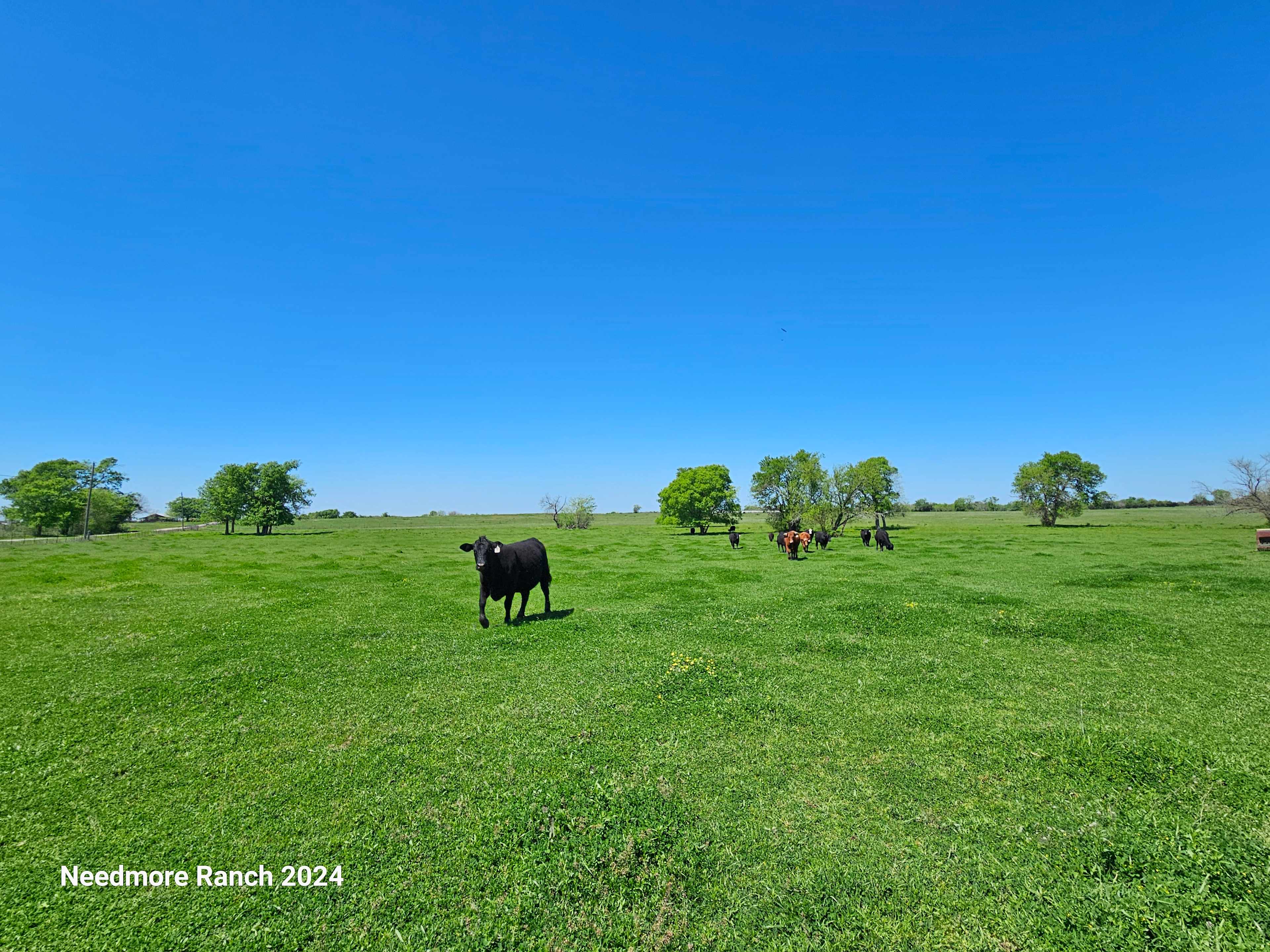 Needmore Ranch