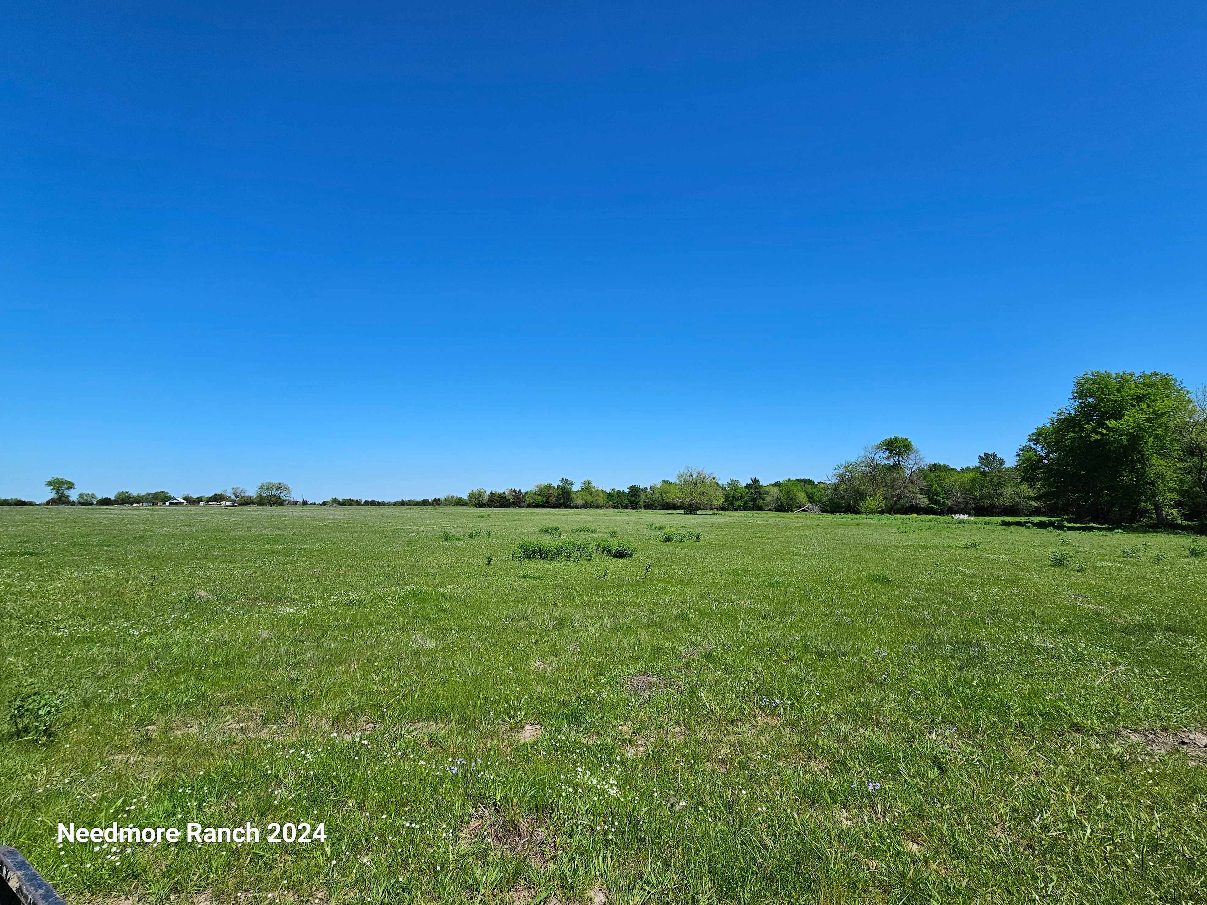 Needmore Ranch