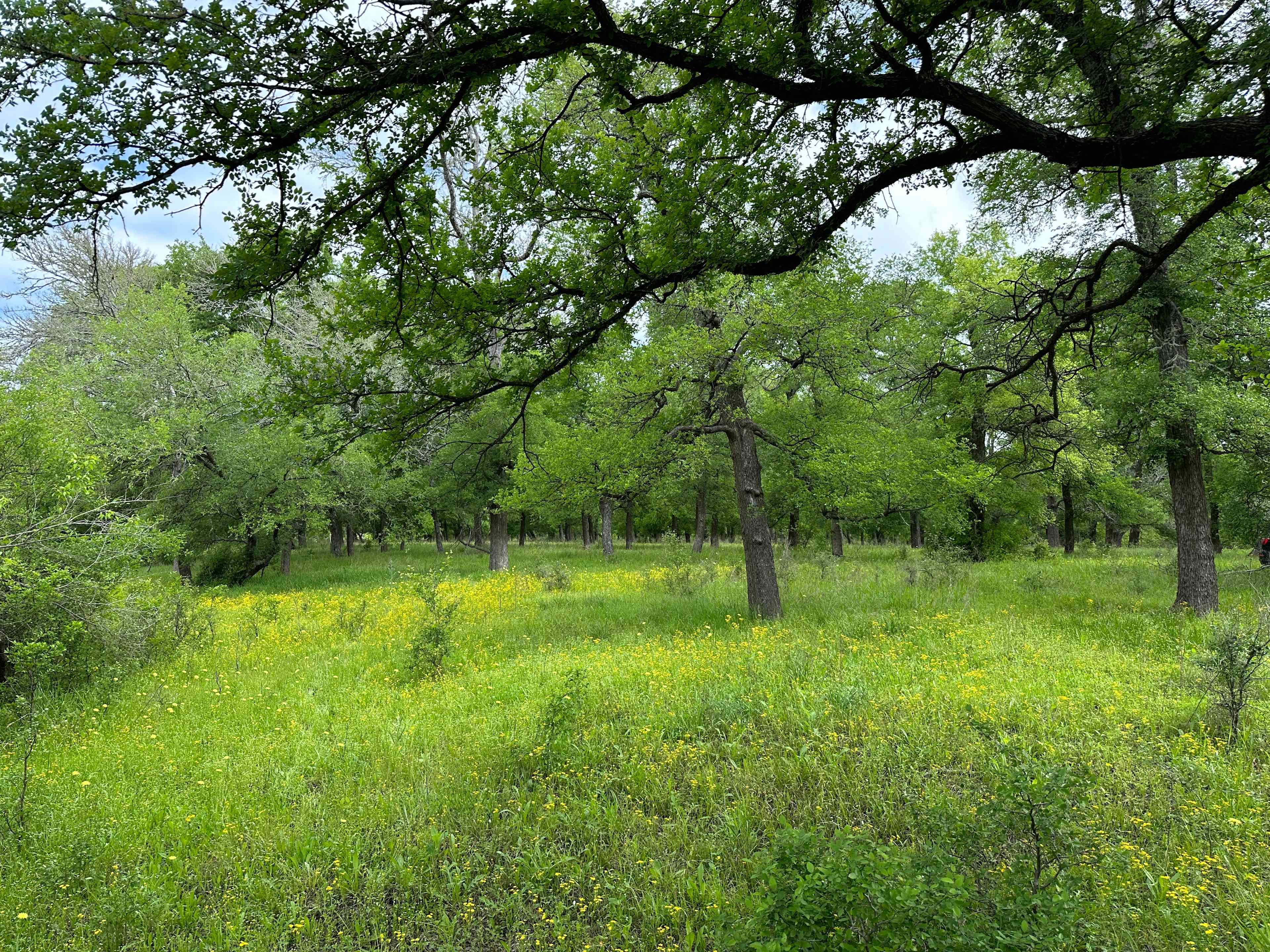 The Navasota River Ranch