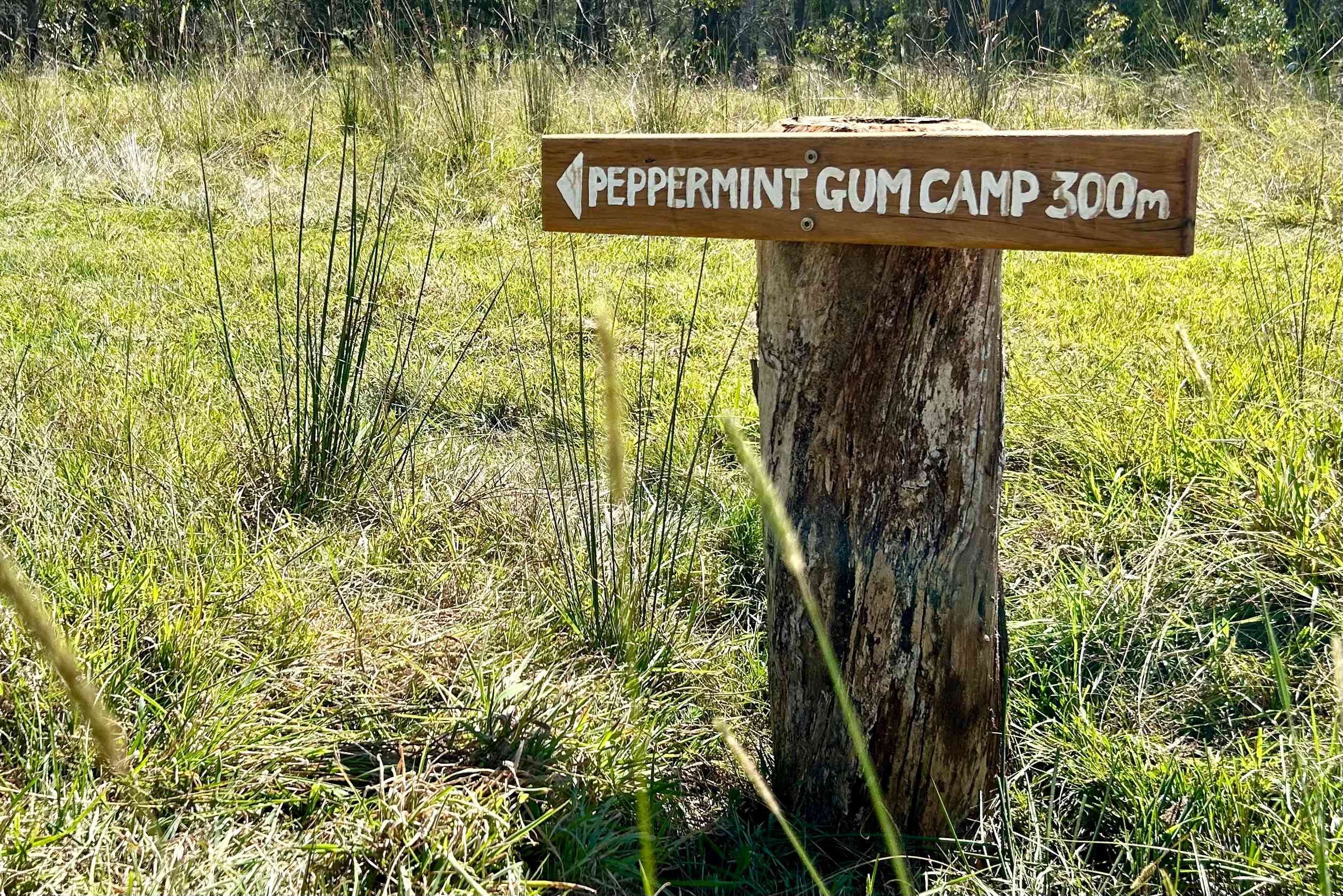 Southern Tablelands Bush Camping