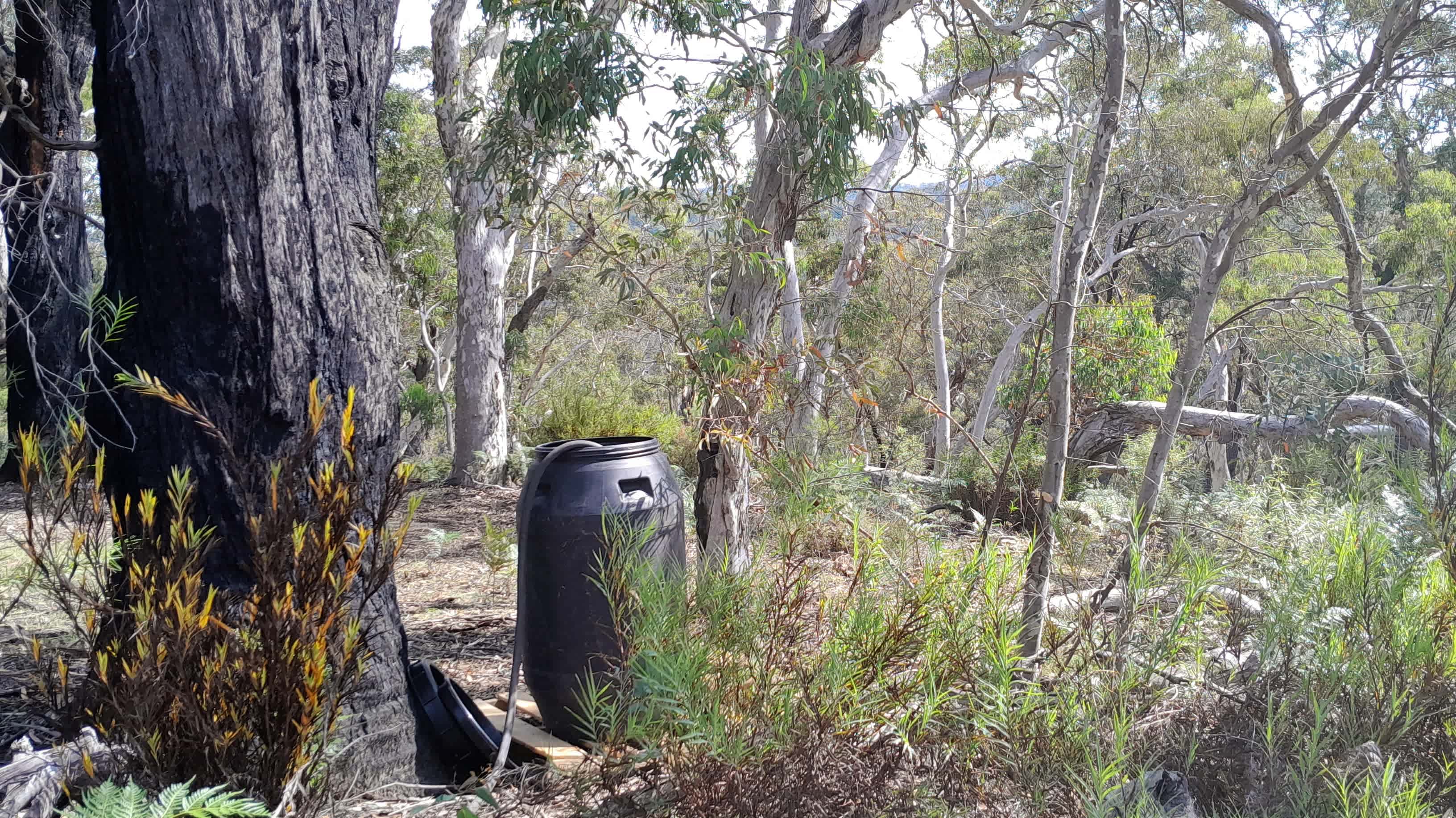 Creating & filling up water for the new hidden site!