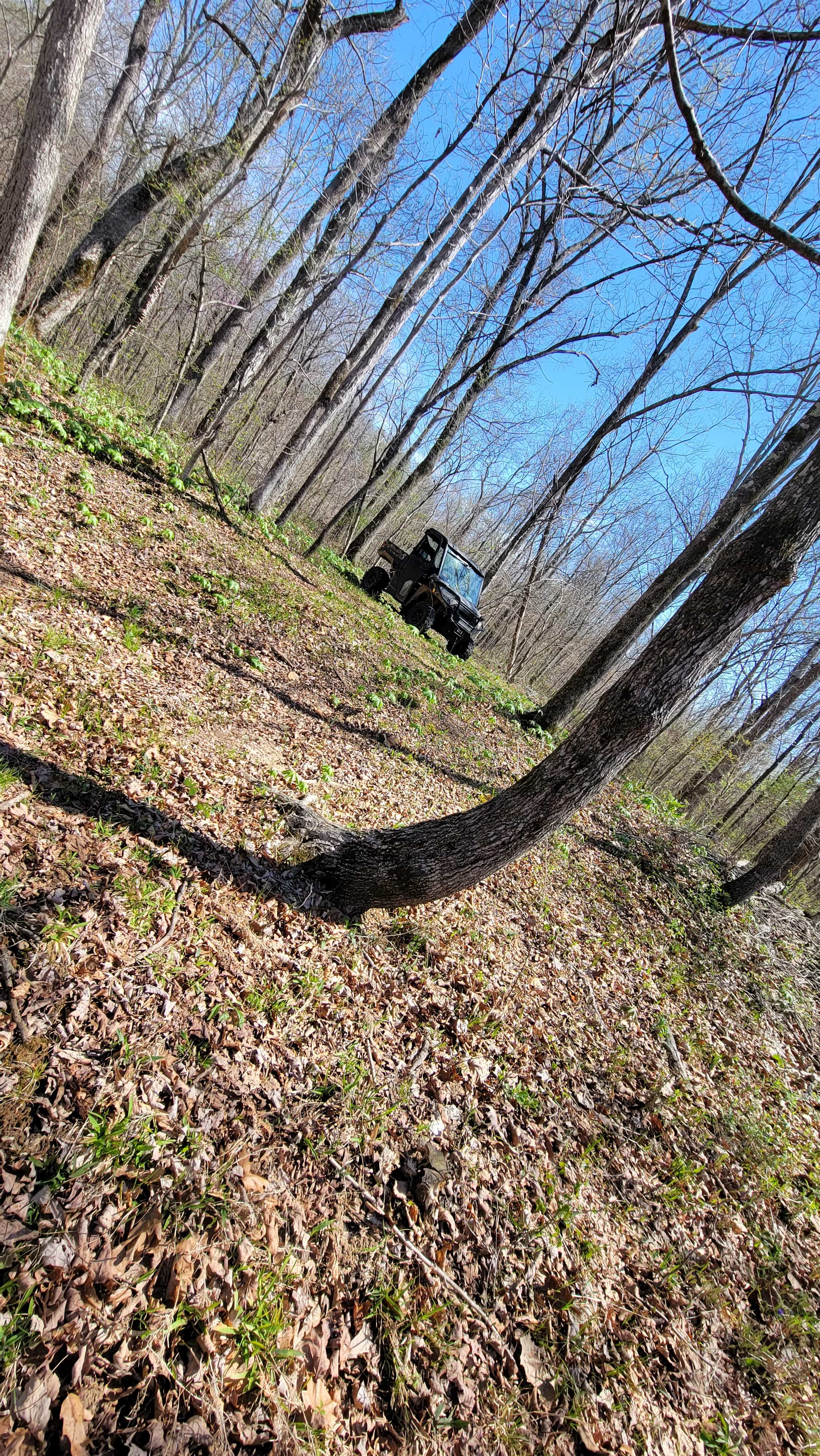 Rocky Creek Camp