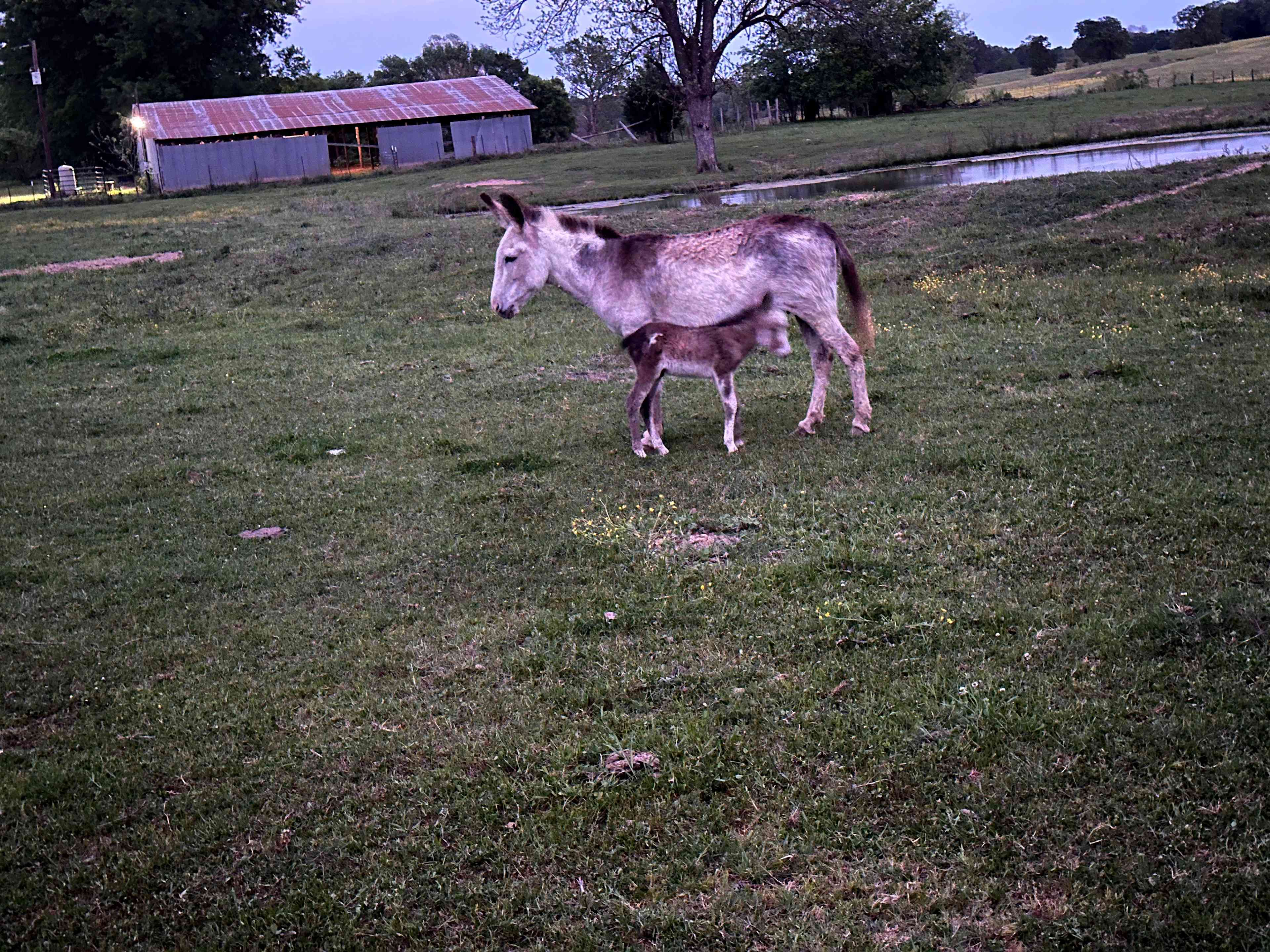 News Ranch