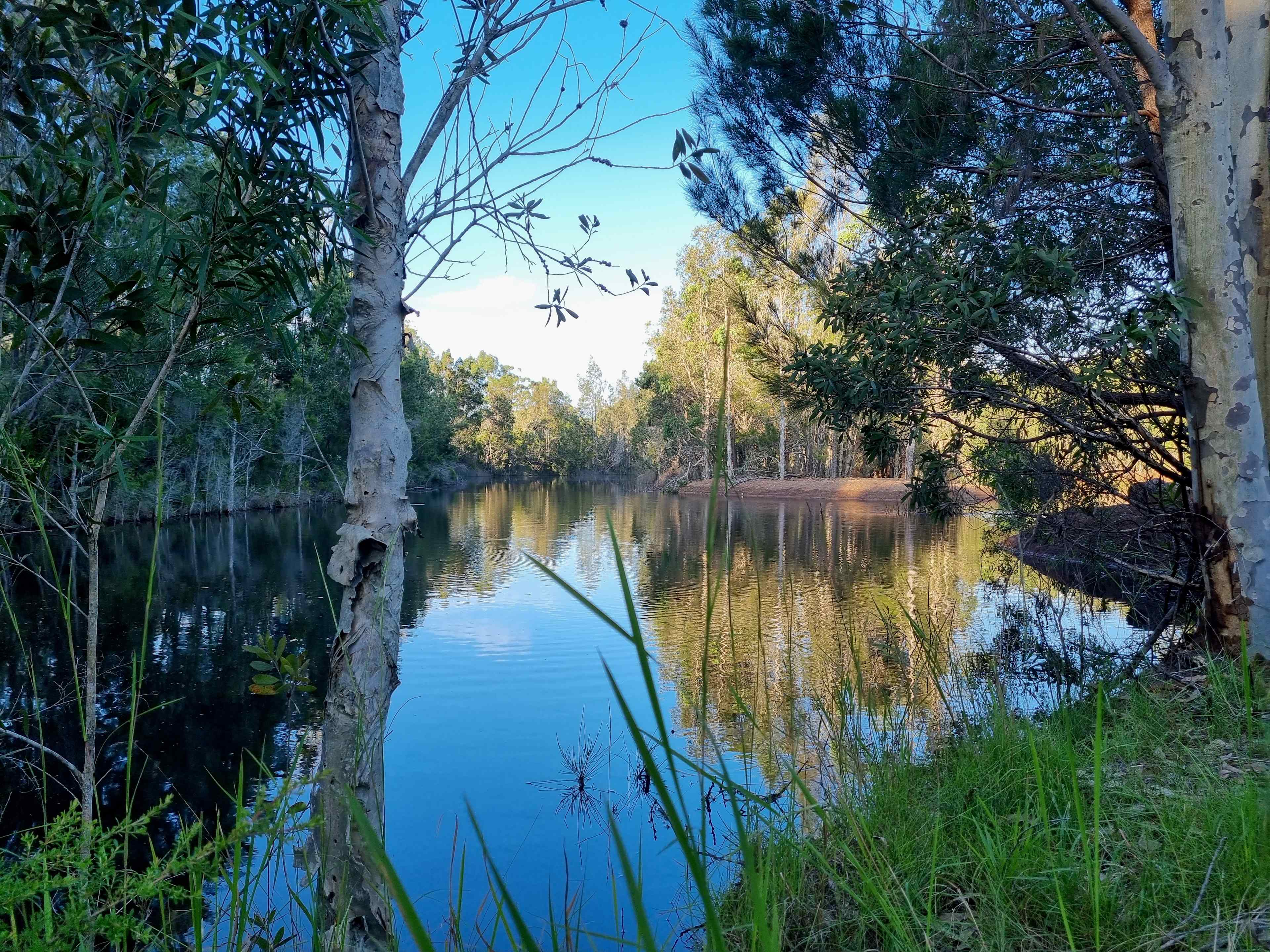 Diamond Park Campsite