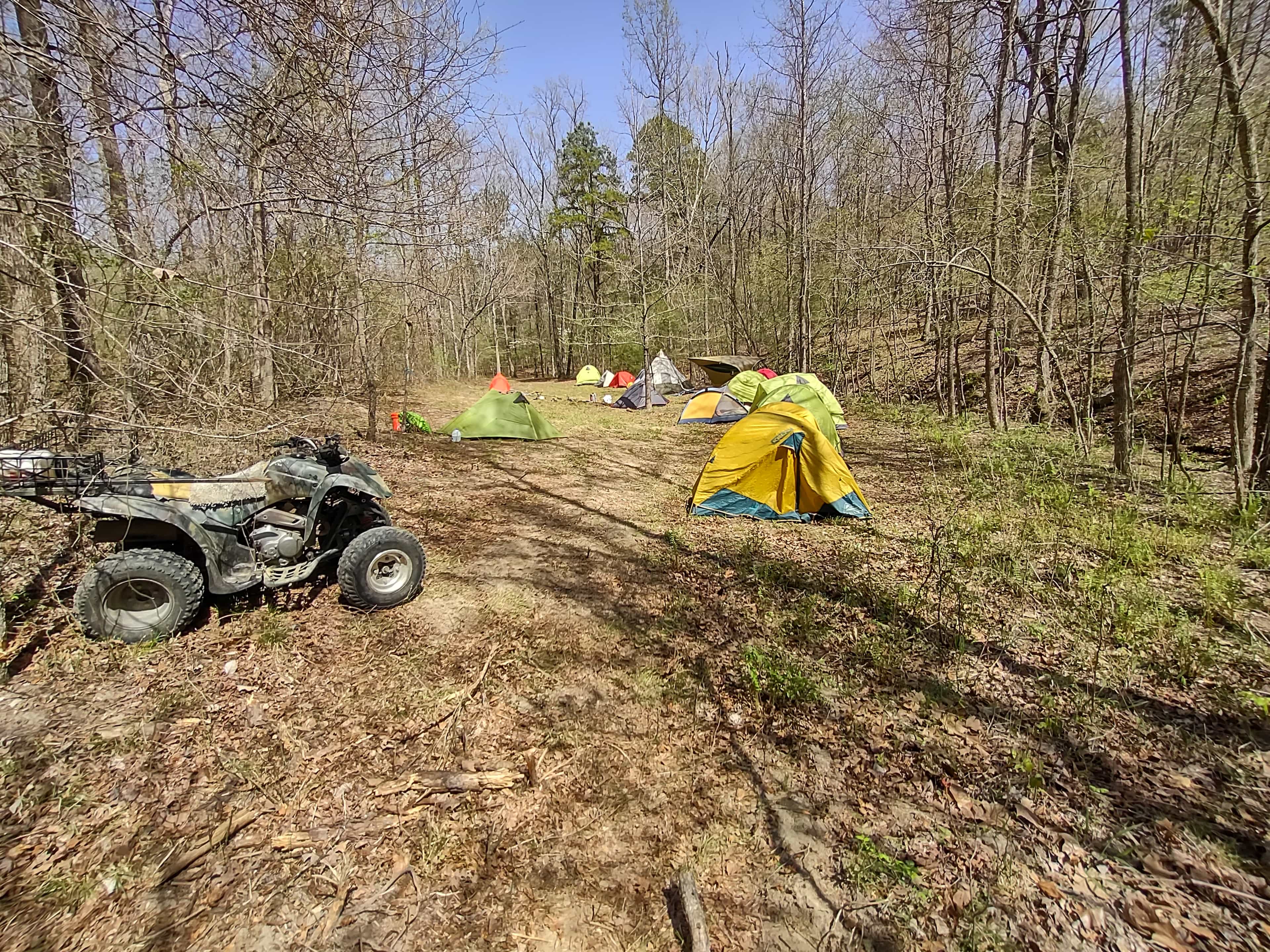 Spring Holler Farm