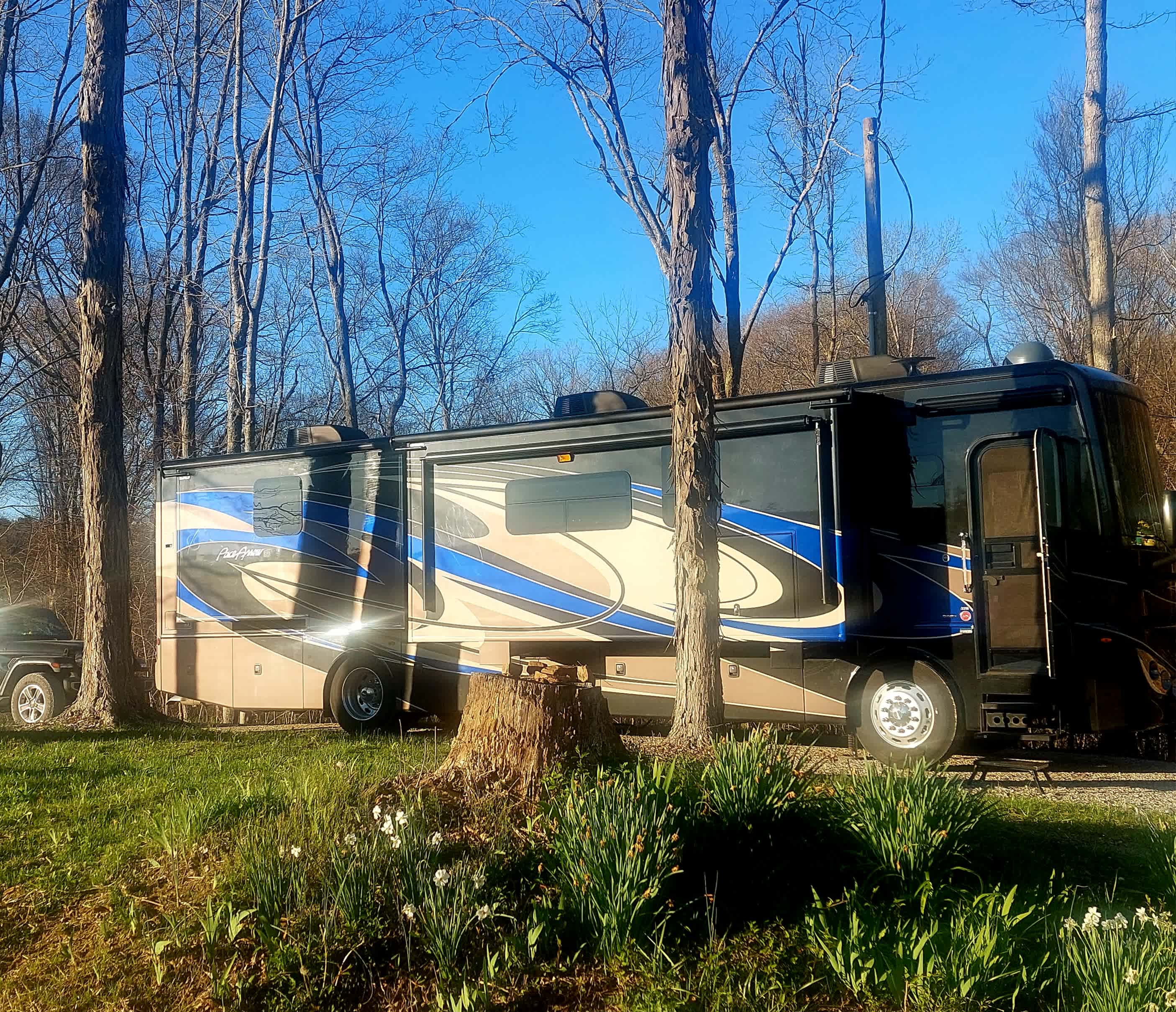 Old Camp At Bear Hollow