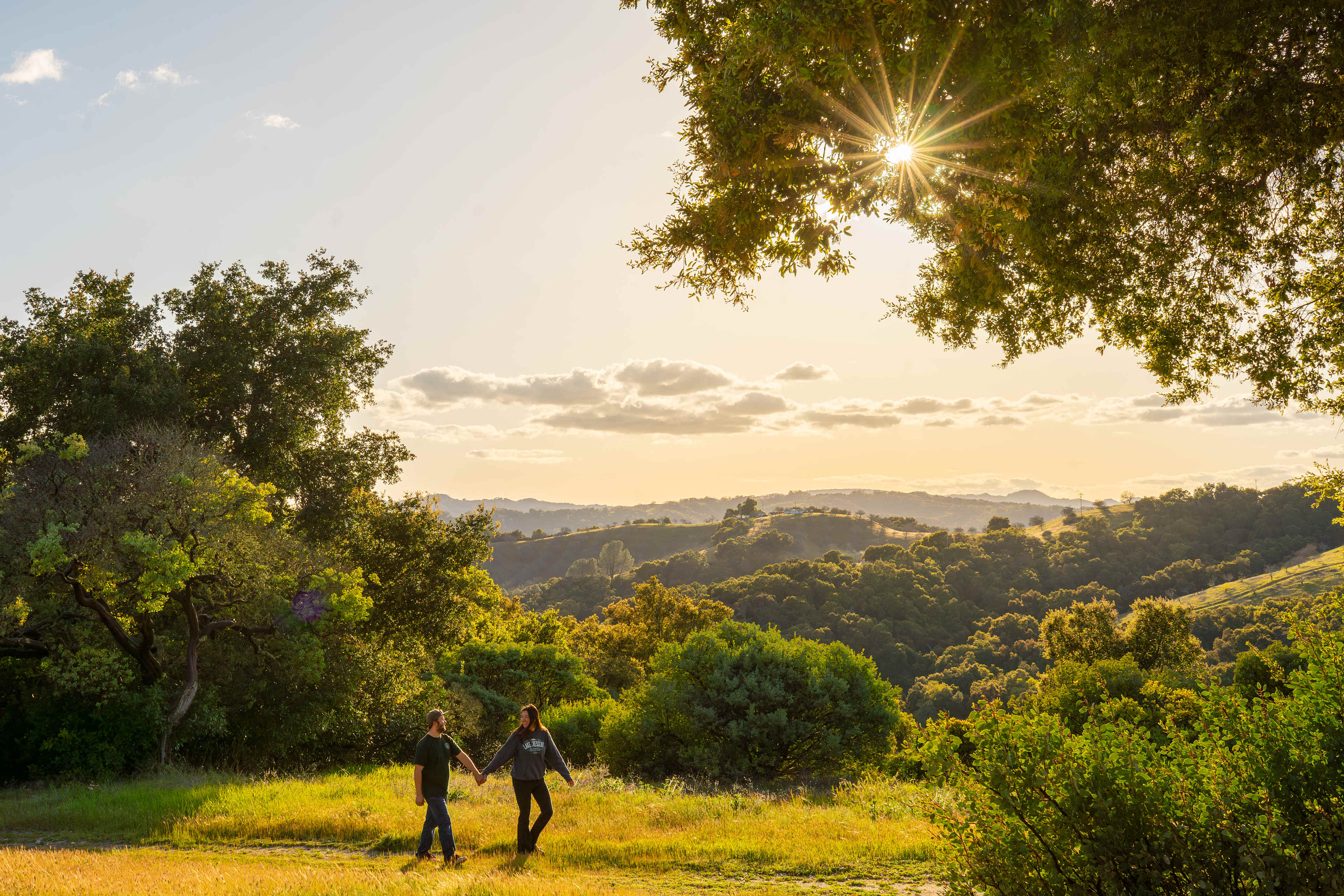 Romantic views of the vineyards and hills