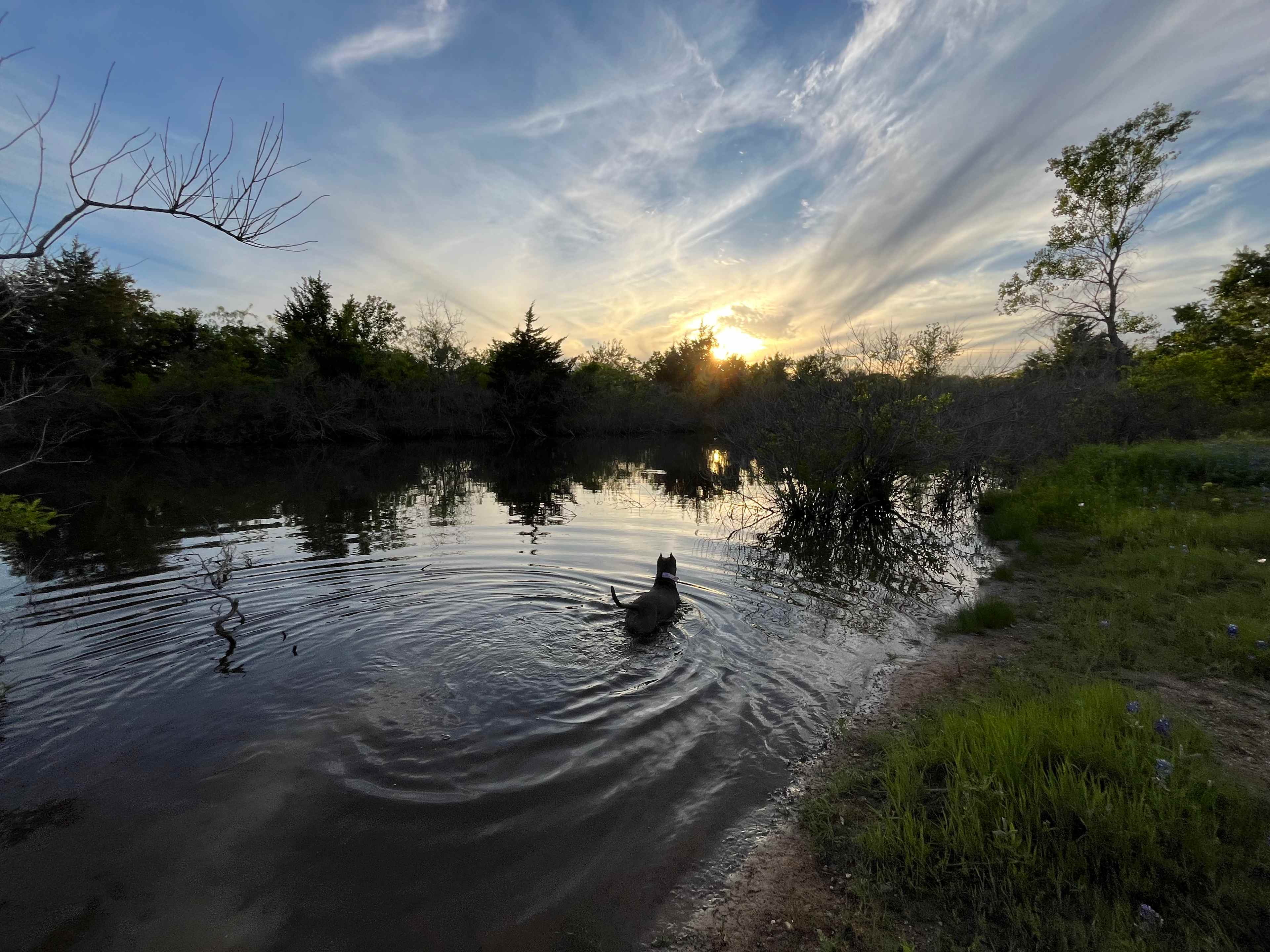Sunrise Valley Campground and Hike