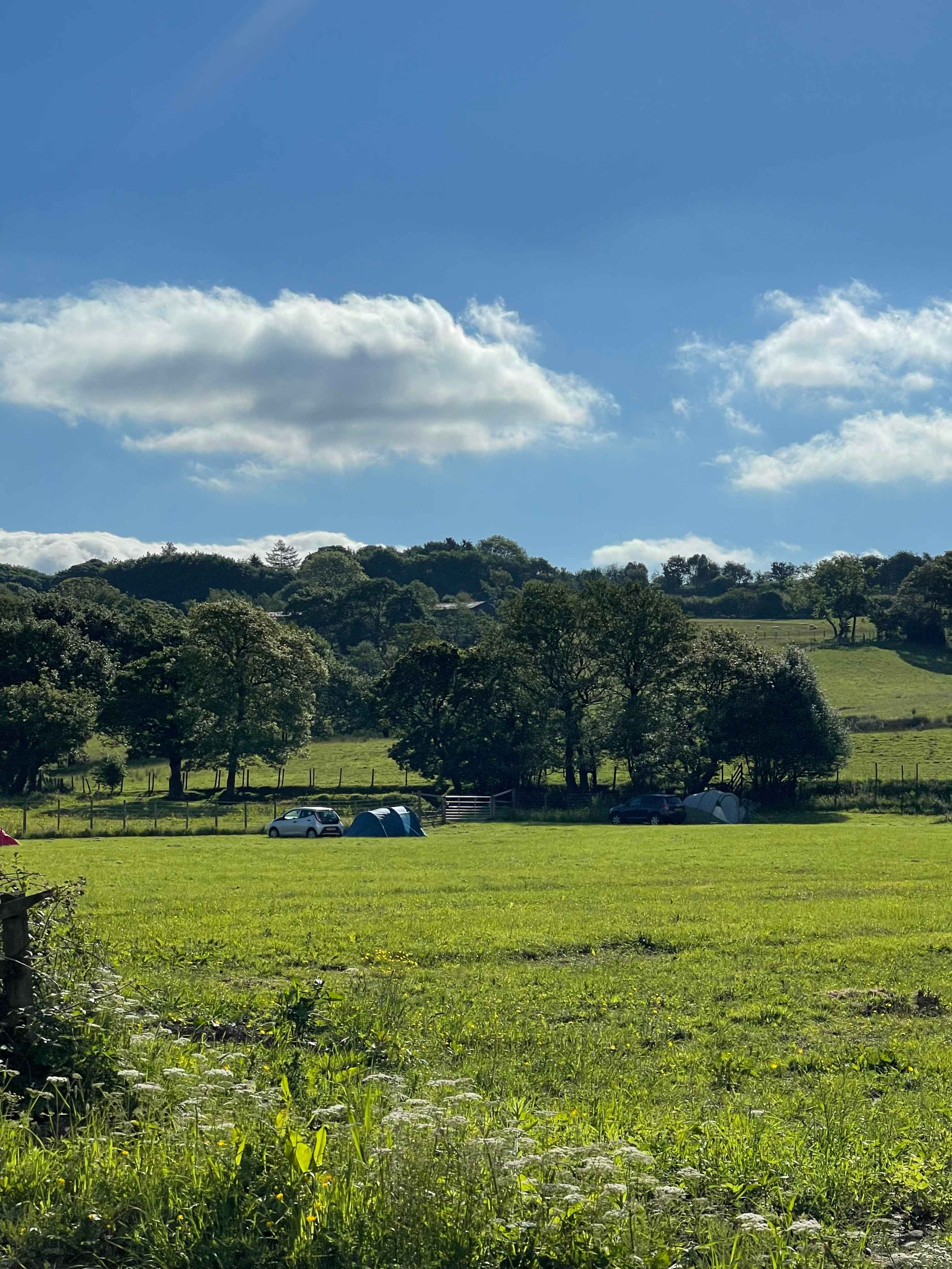 Primrose Cottage Camping