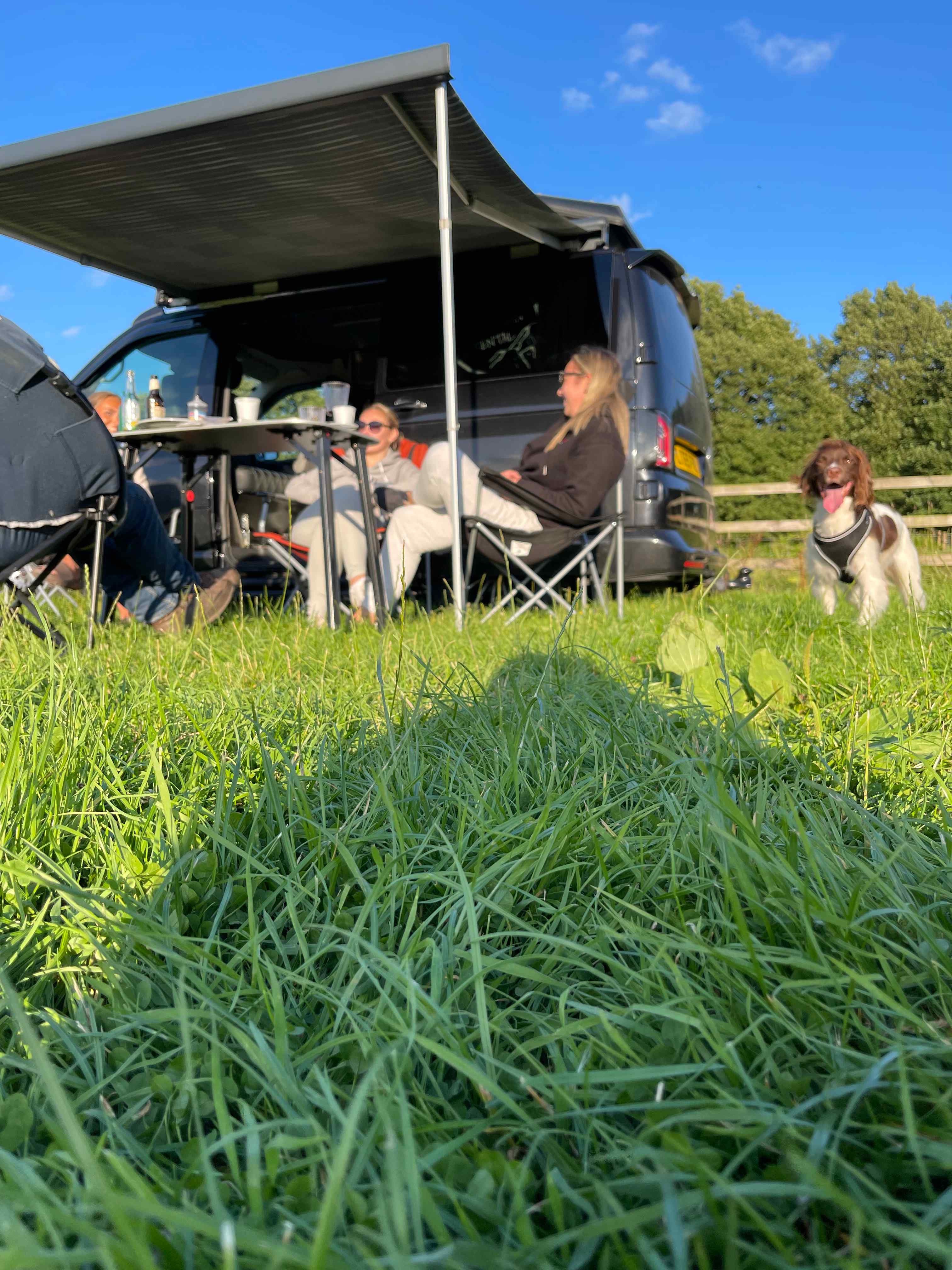 Primrose Cottage Camping
