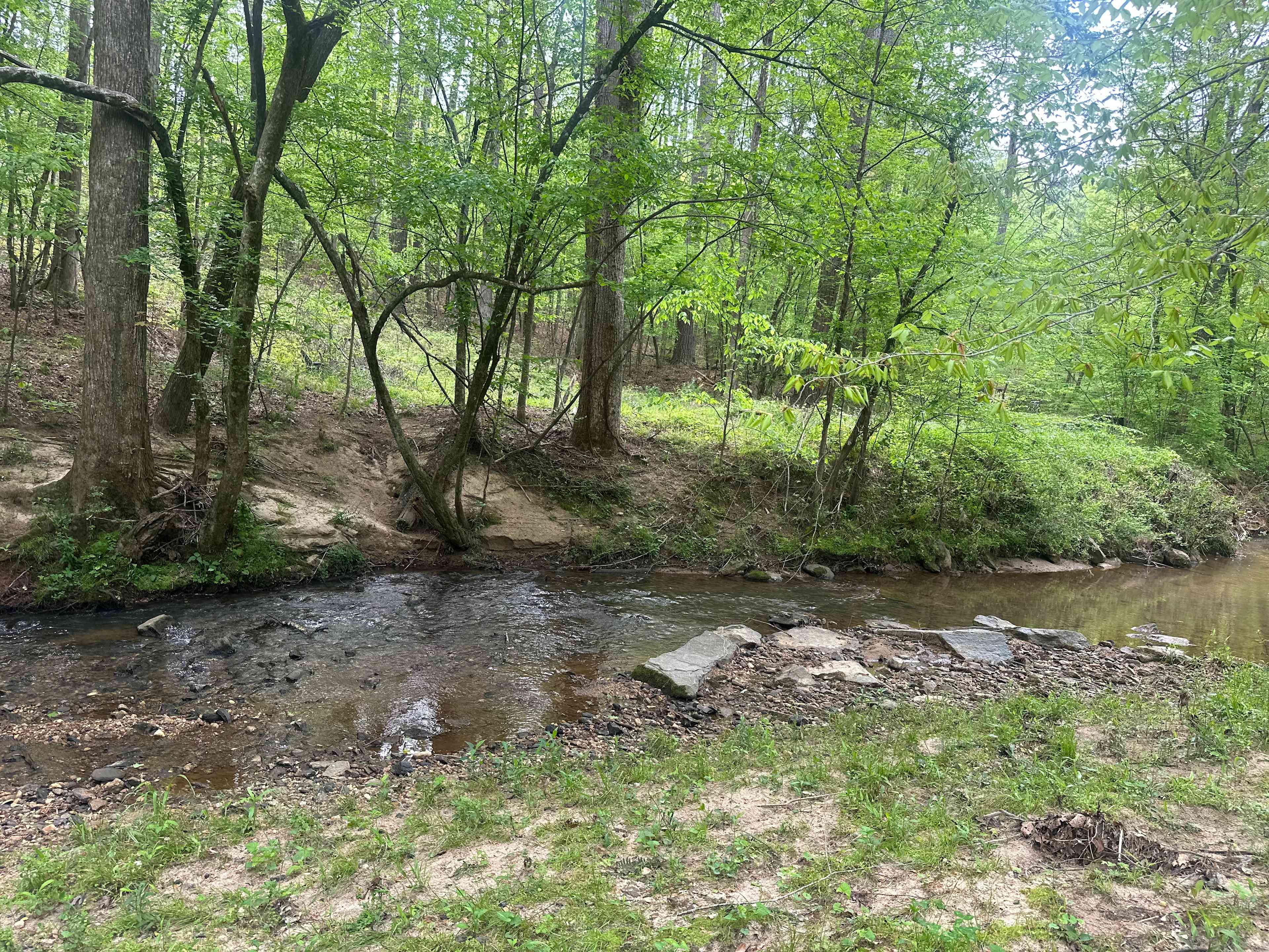 Coyote Creek