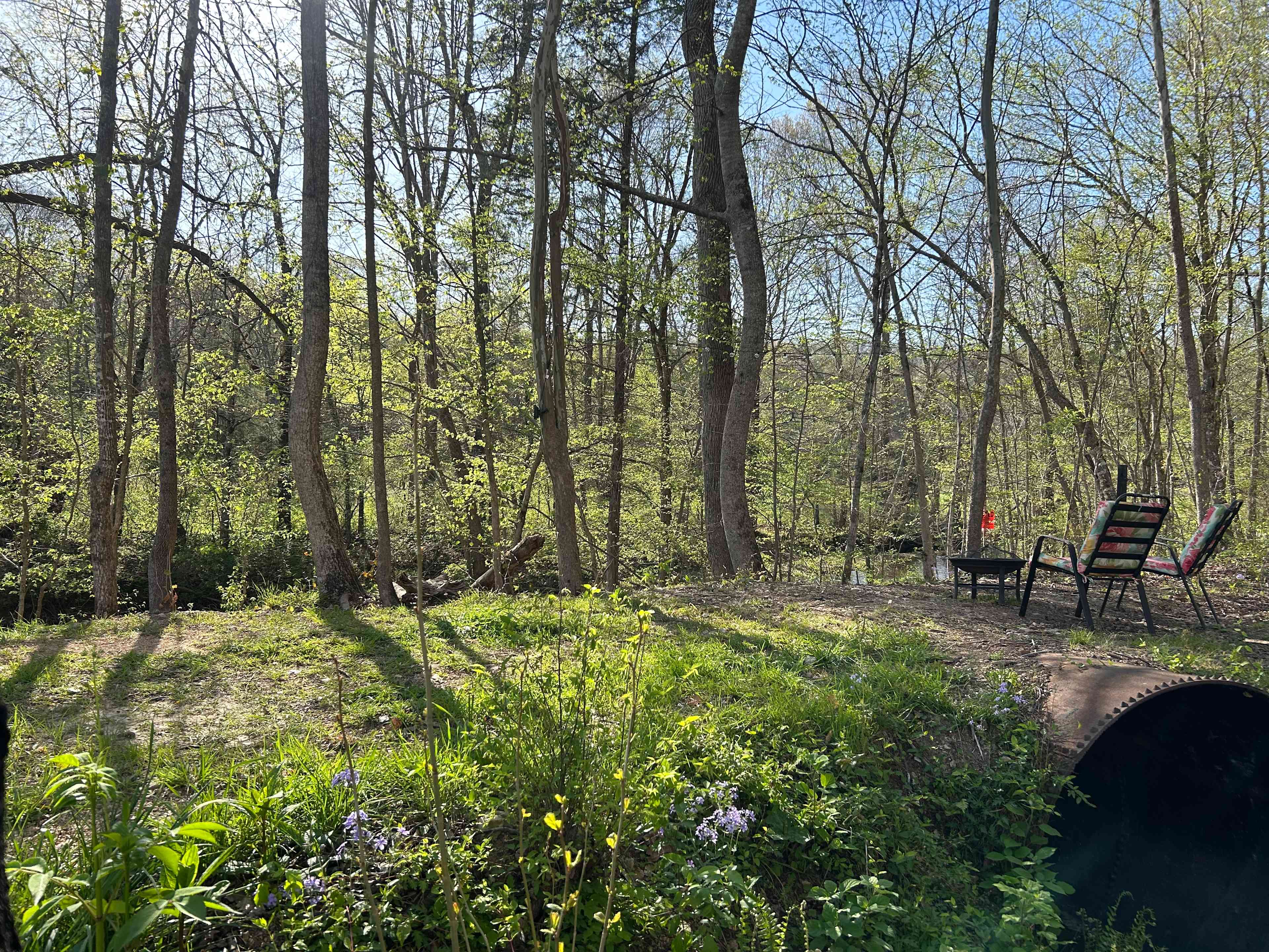 The Creekside campsite has a picnic table and a fire pit. It has a view of the creek. It’s on the edge of the property line, so please respect our neighbors by not crossing over into their property. You are welcome to explore the 97 acres and hike into the campground. The creek is cold and refreshing!