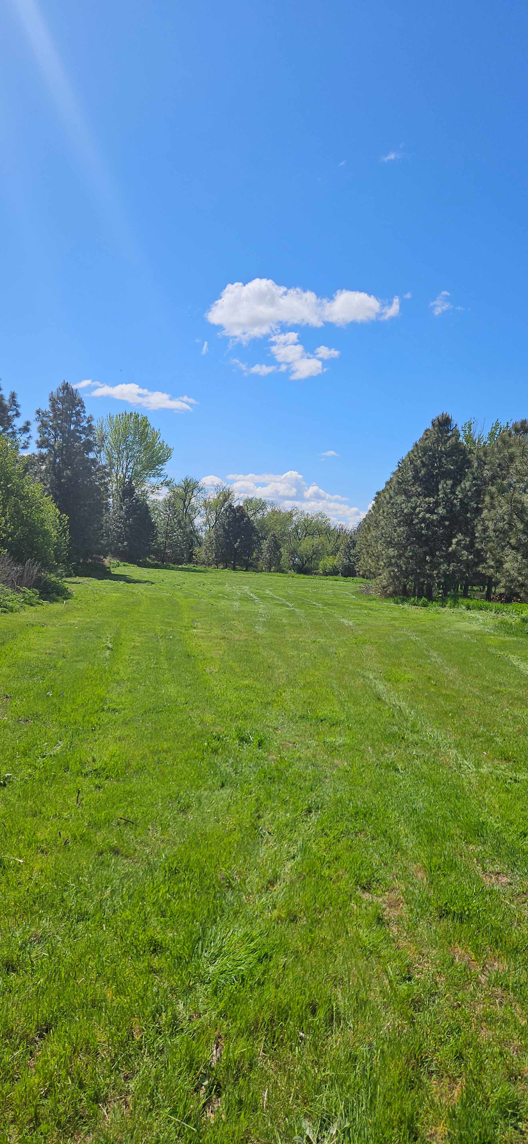 Mill Creek Farm/Park