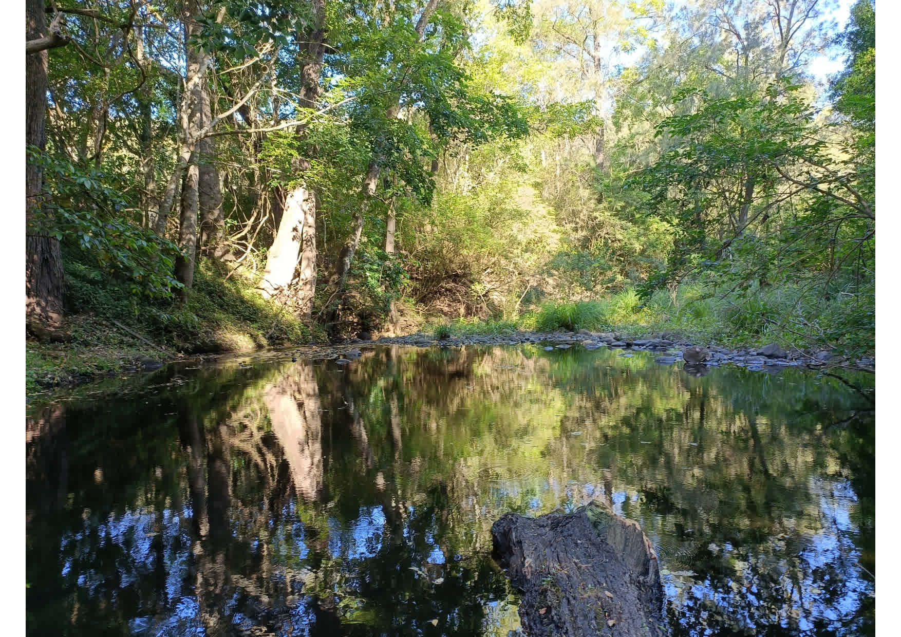 Figtree Farm at Findon Creek