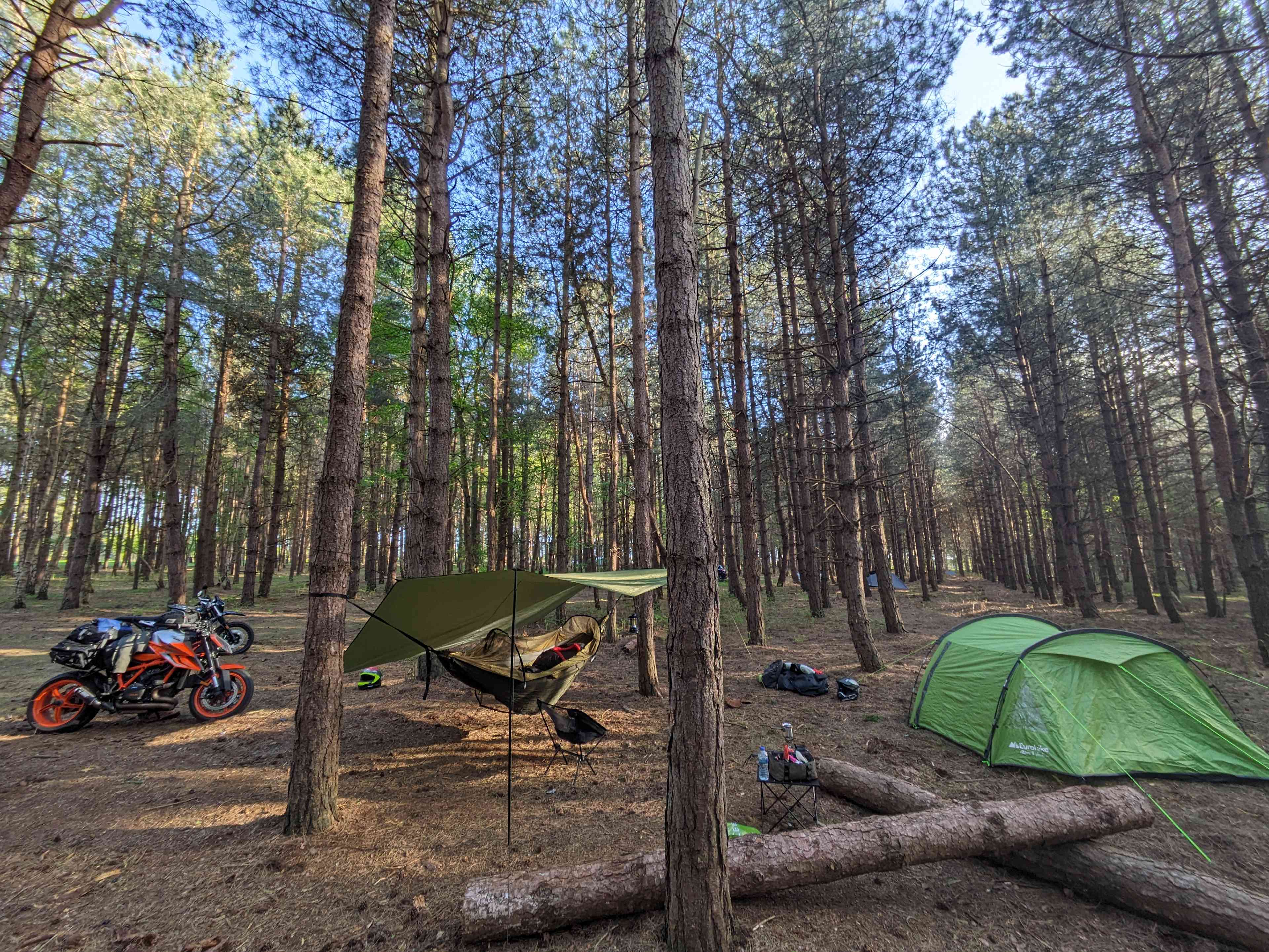 Holistic Woods Campsite WILD