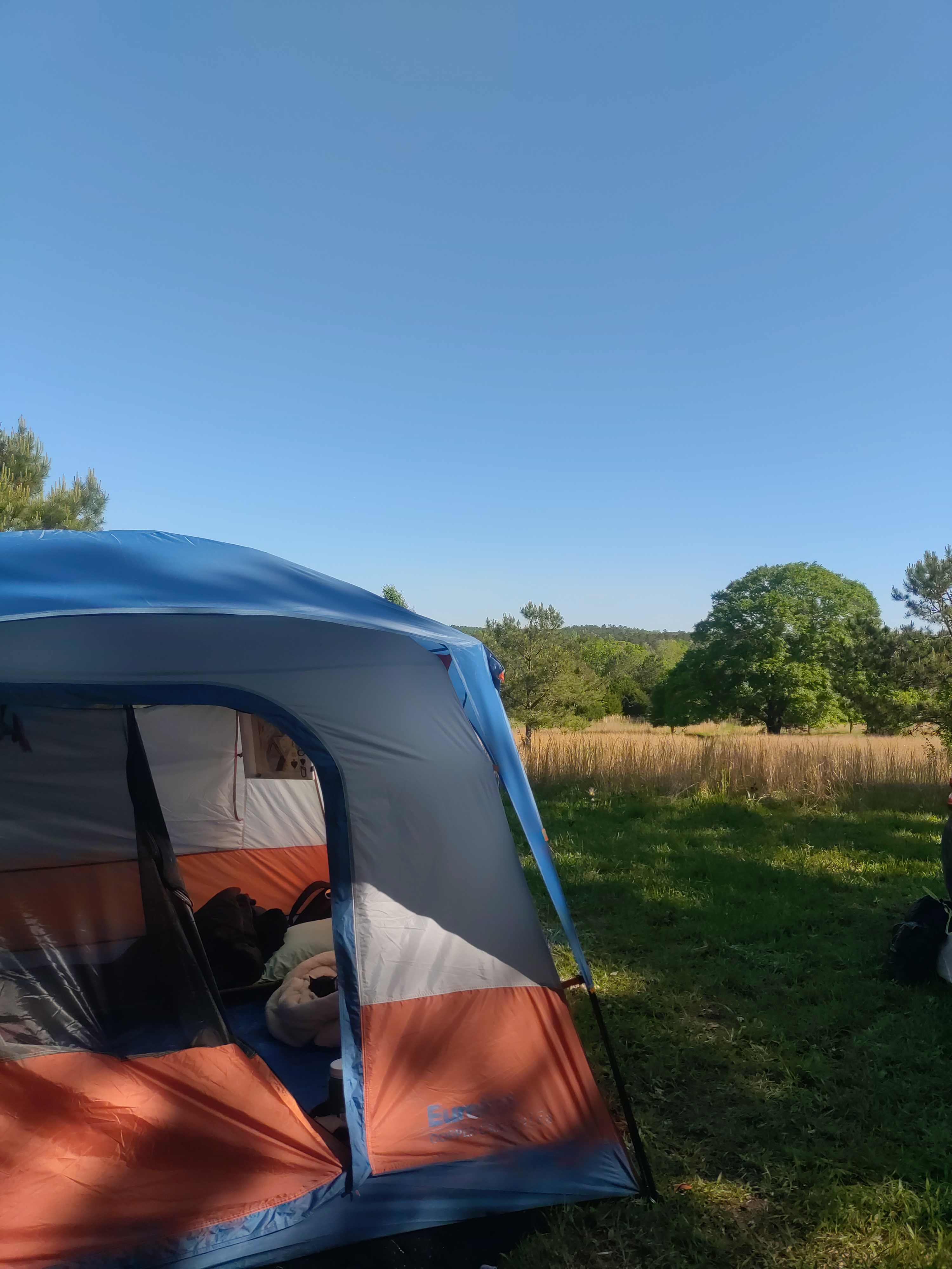 Camp Carousel