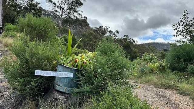 Mellows Ridge