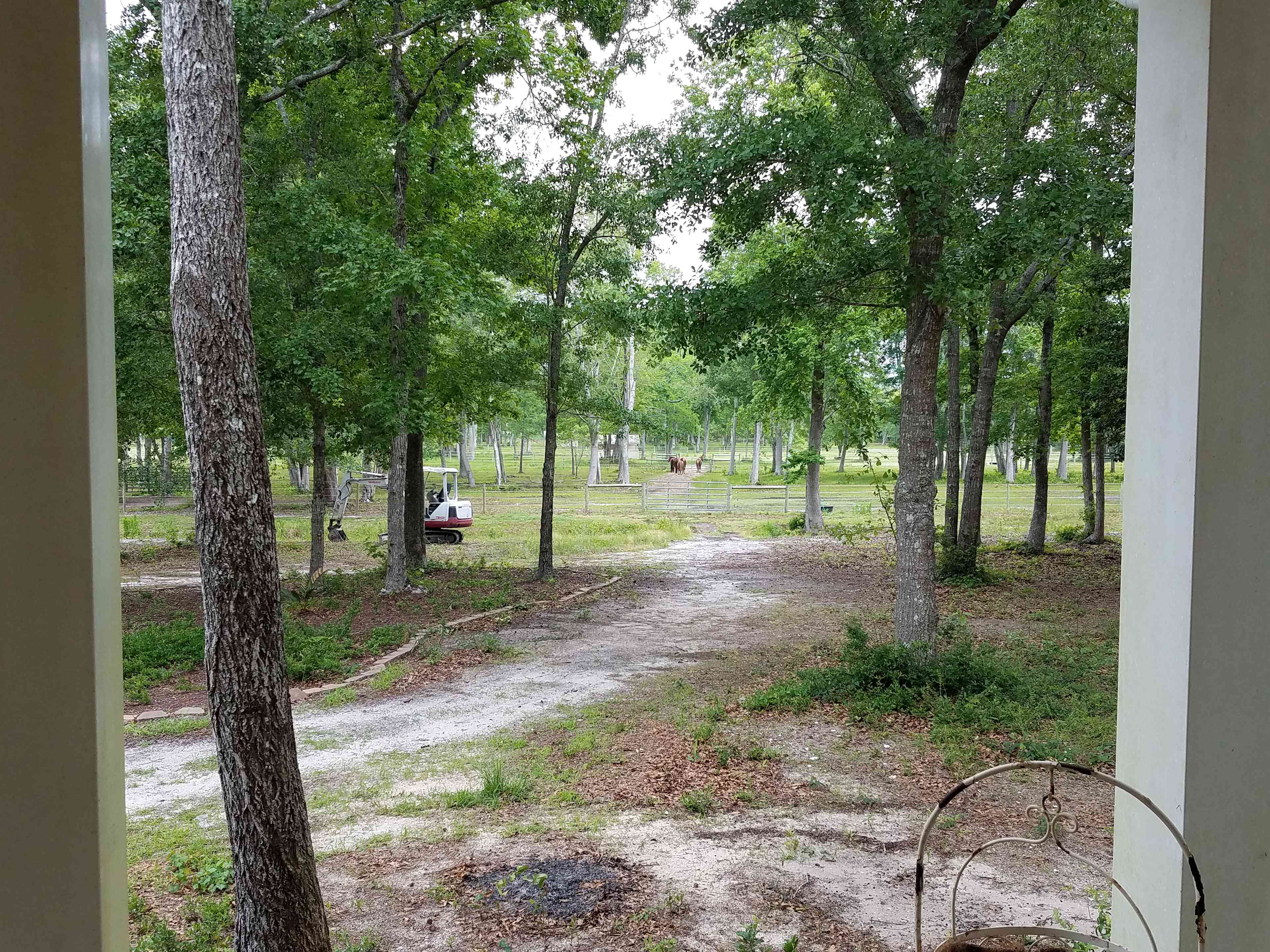 Wild Horse Preserve At Grayce Wynds