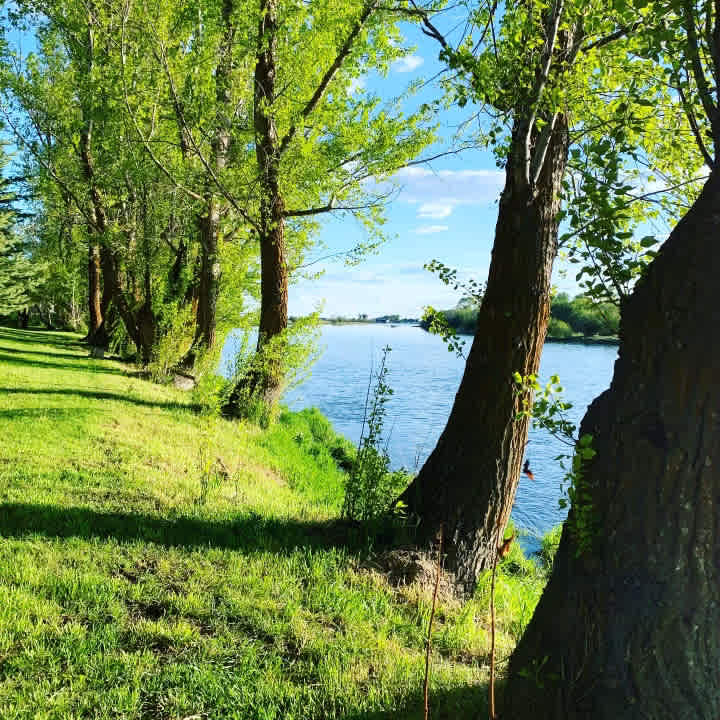 Henry's Fork Boaters Access