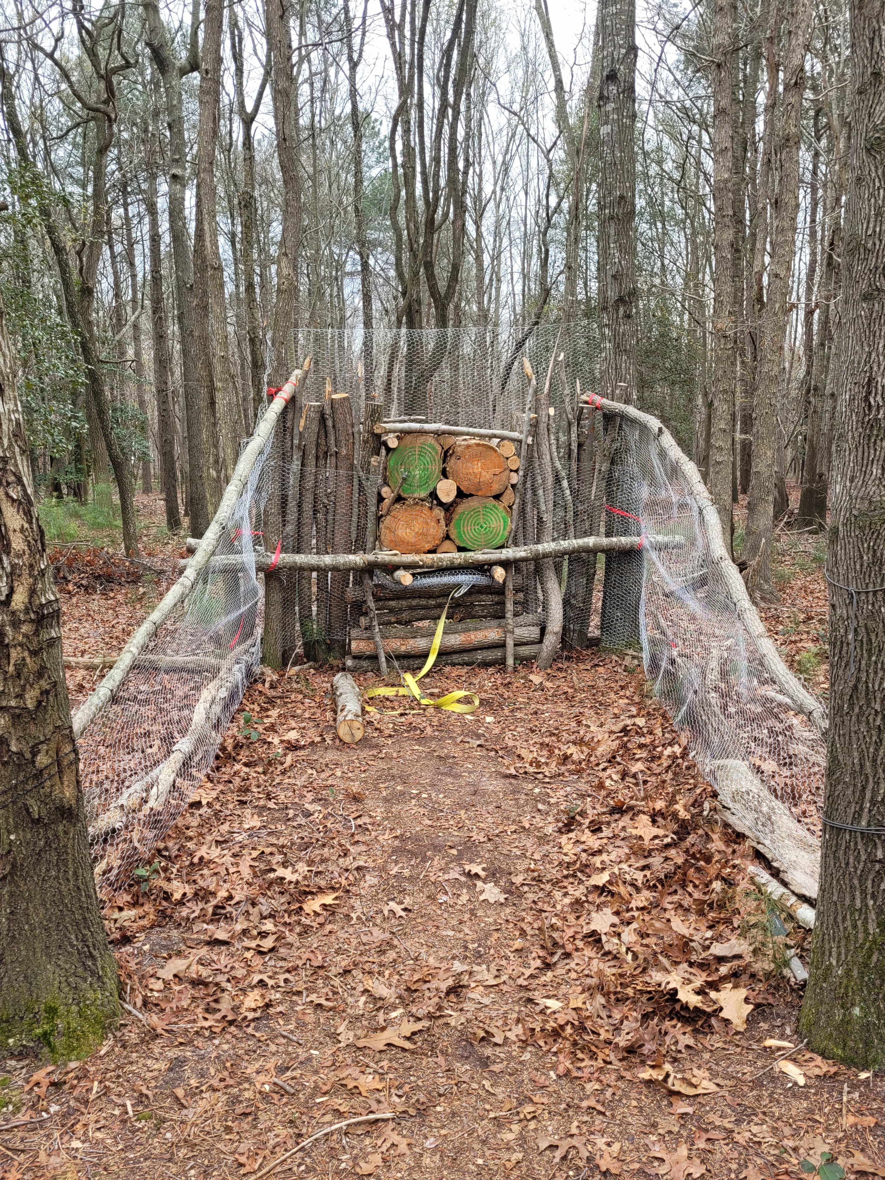 Apocalypse Camp