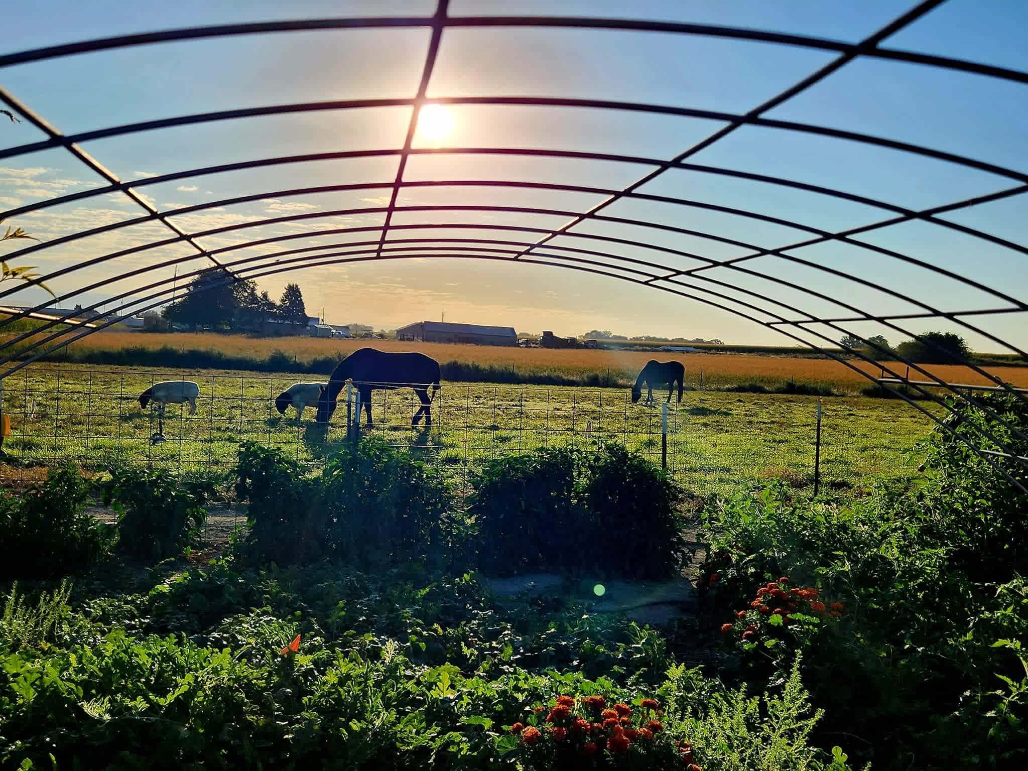 Kingswood Ranch