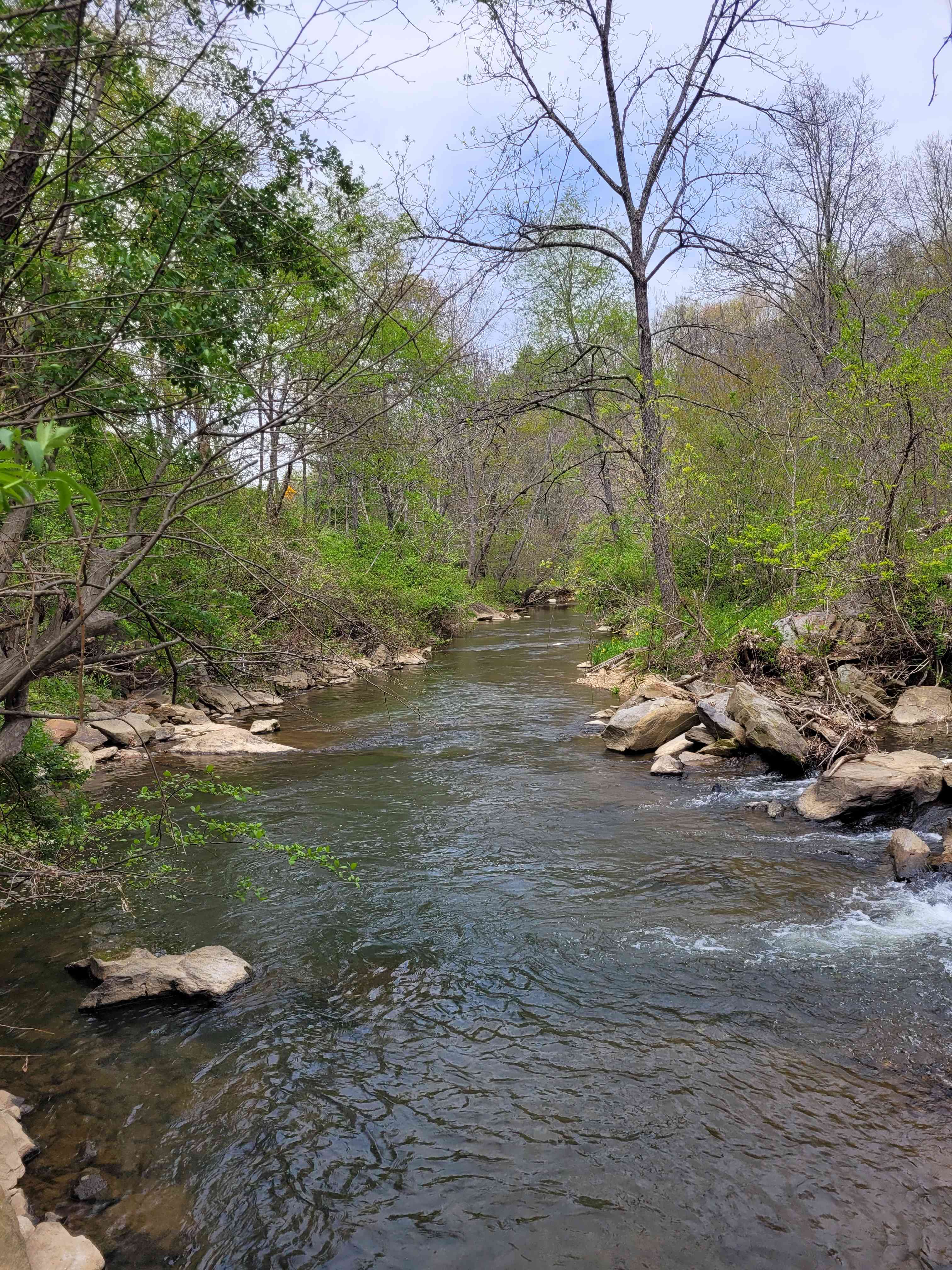 Hippie Hollow