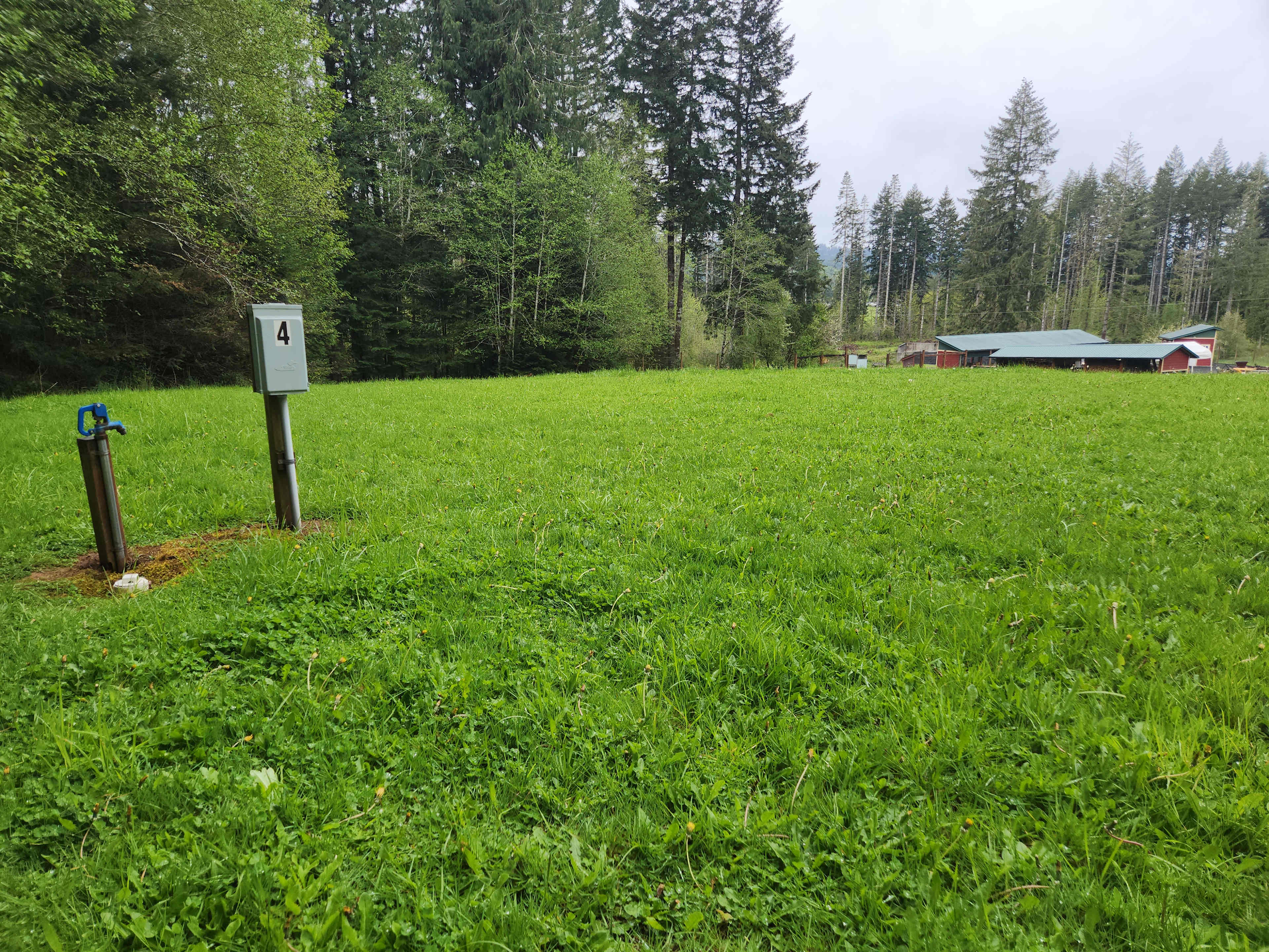 RV+ Rainbow Falls / Willapa Trails