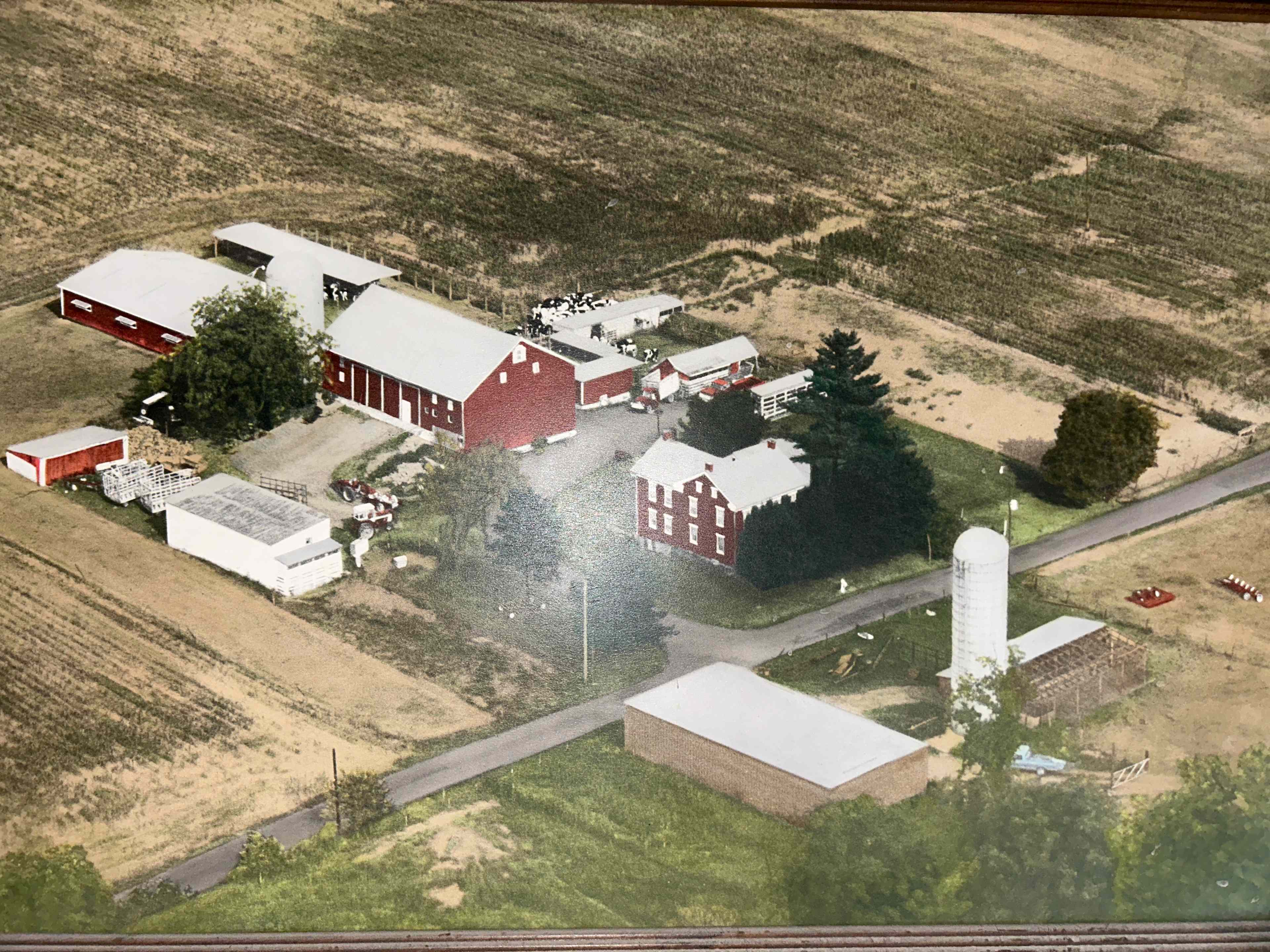The Ponderosa