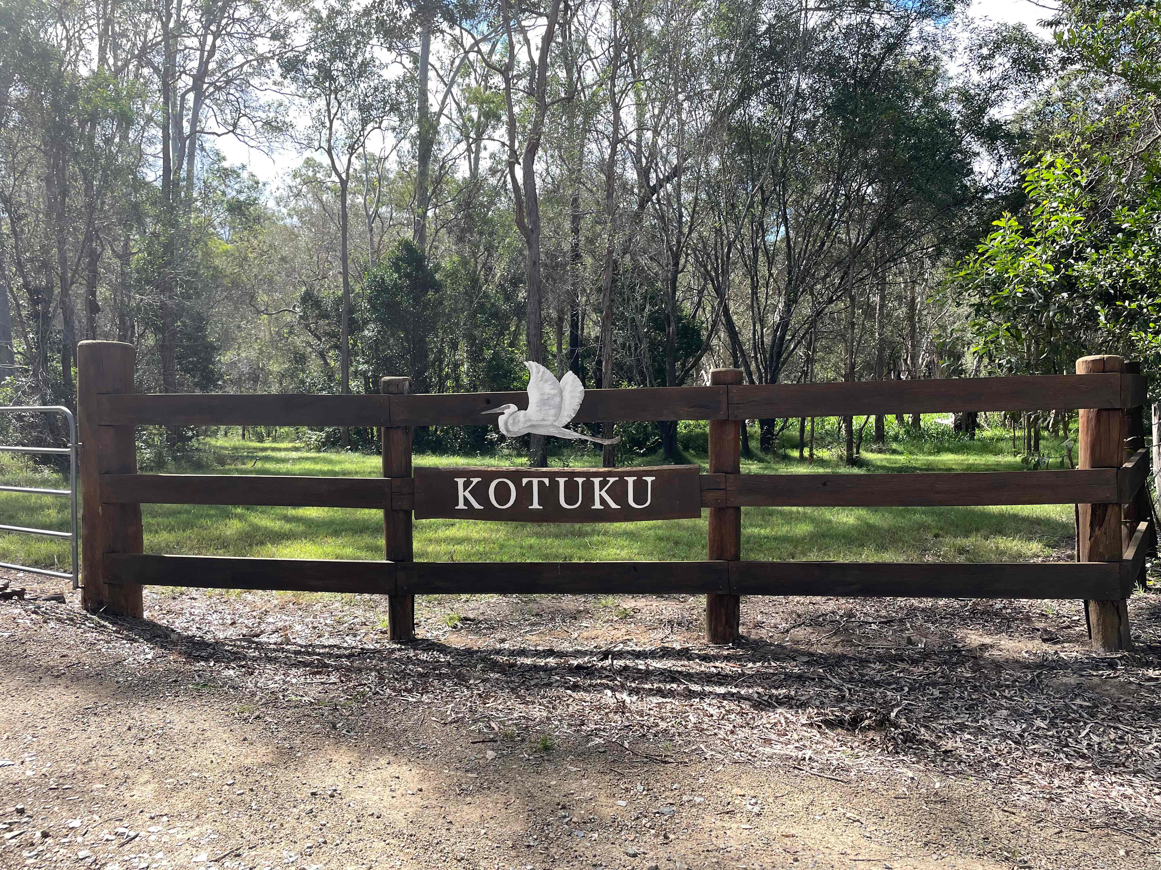 Kotuku on Oyster Creek