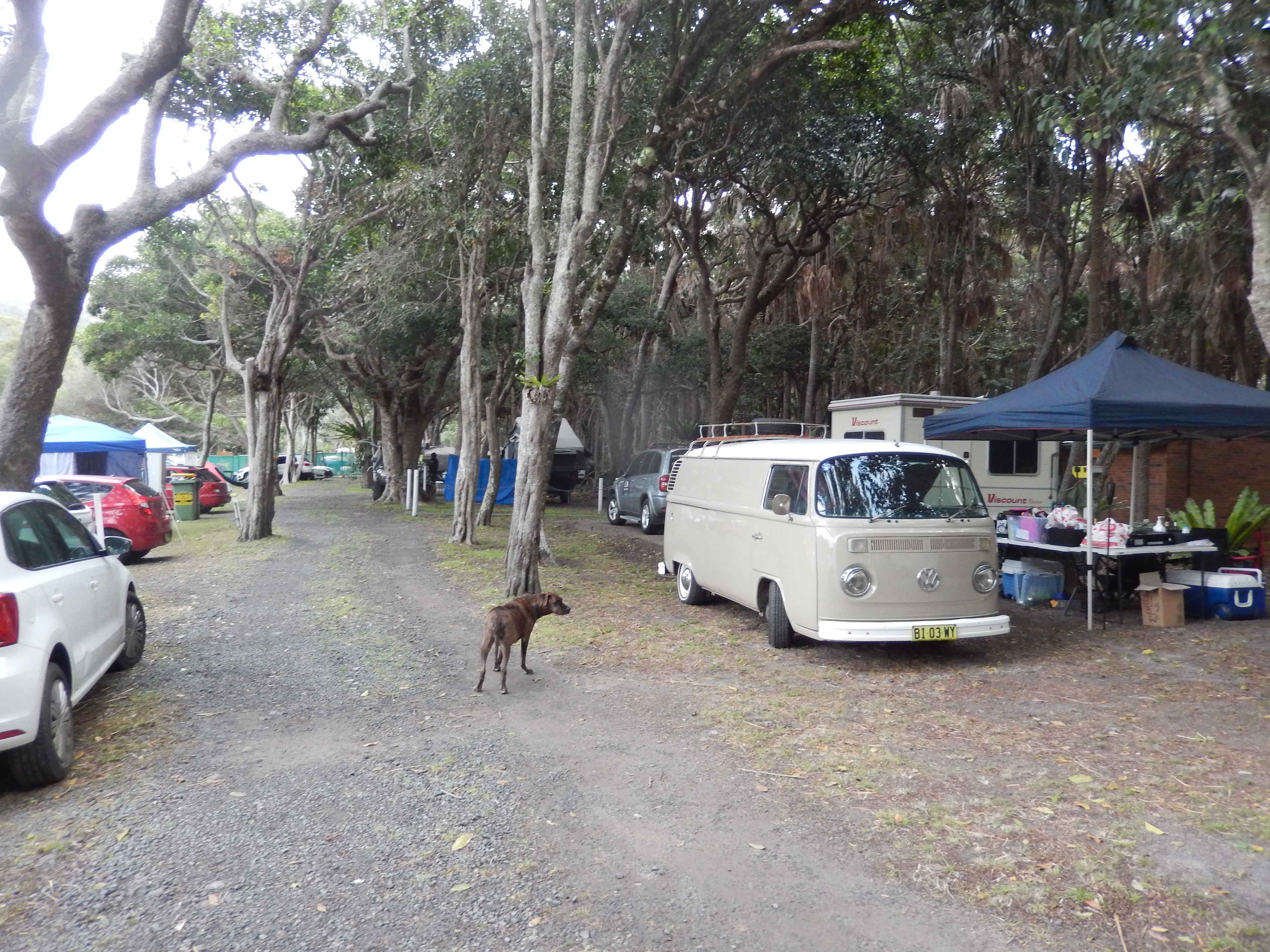 Tiona Holiday Park