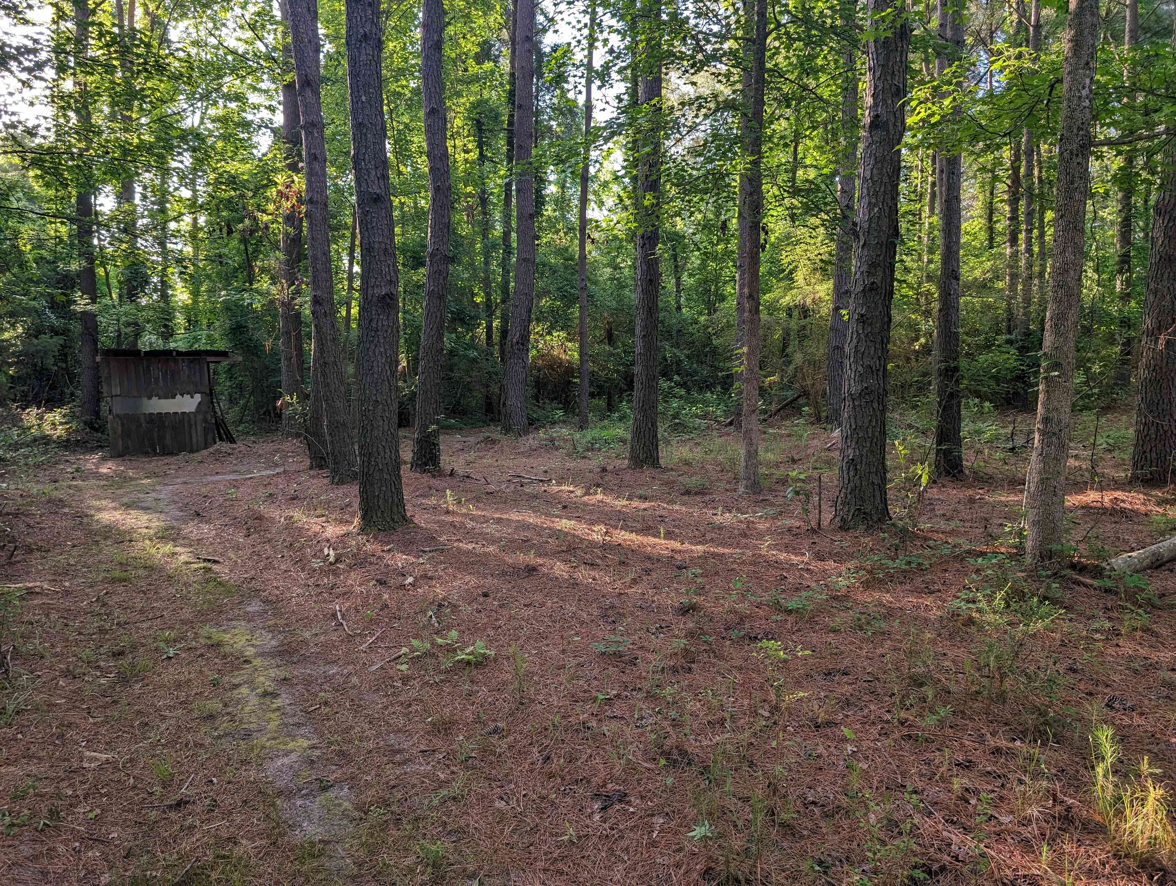 The Mill Creek Spread