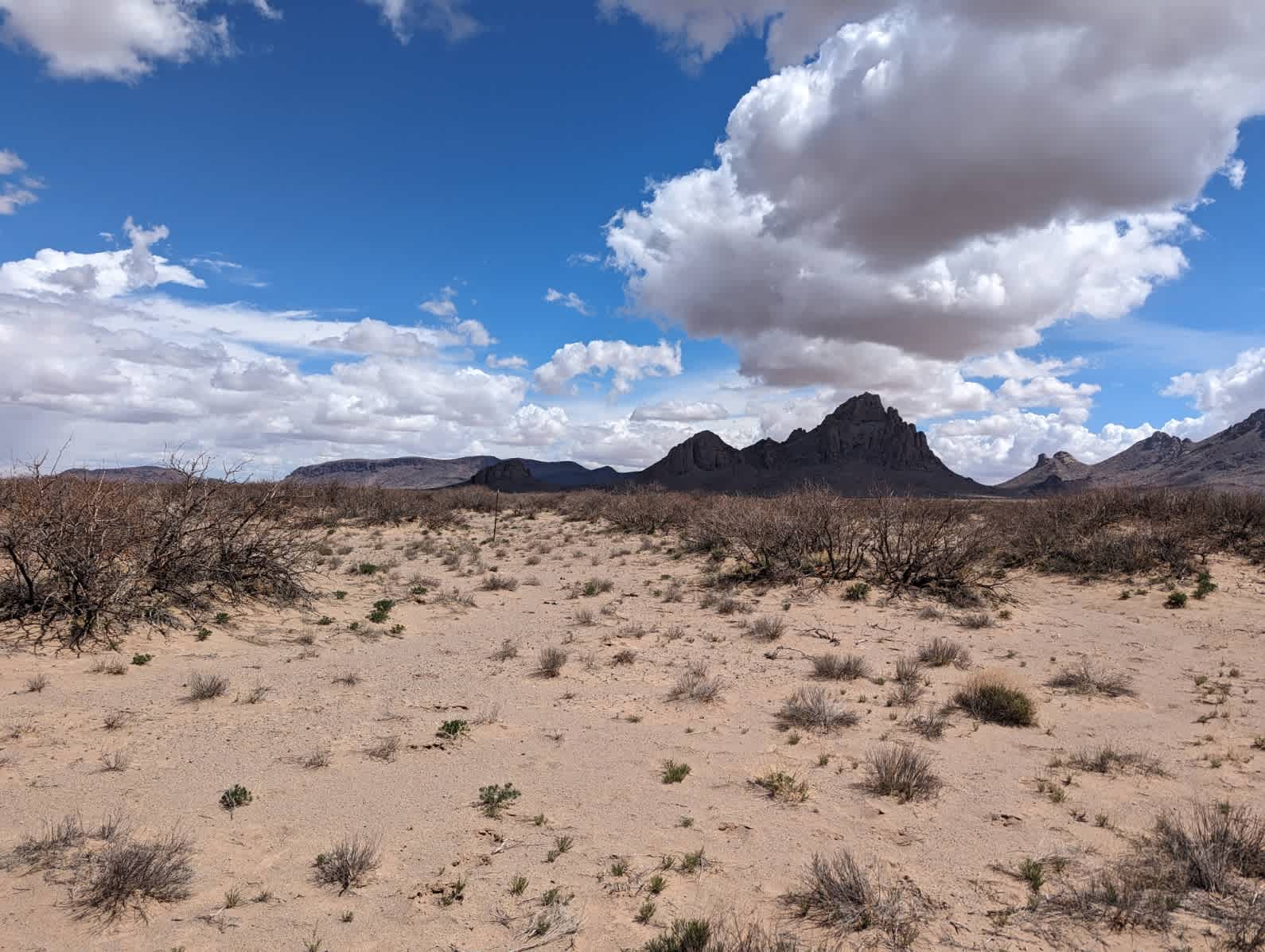 Dragon Ridge Basecamp
