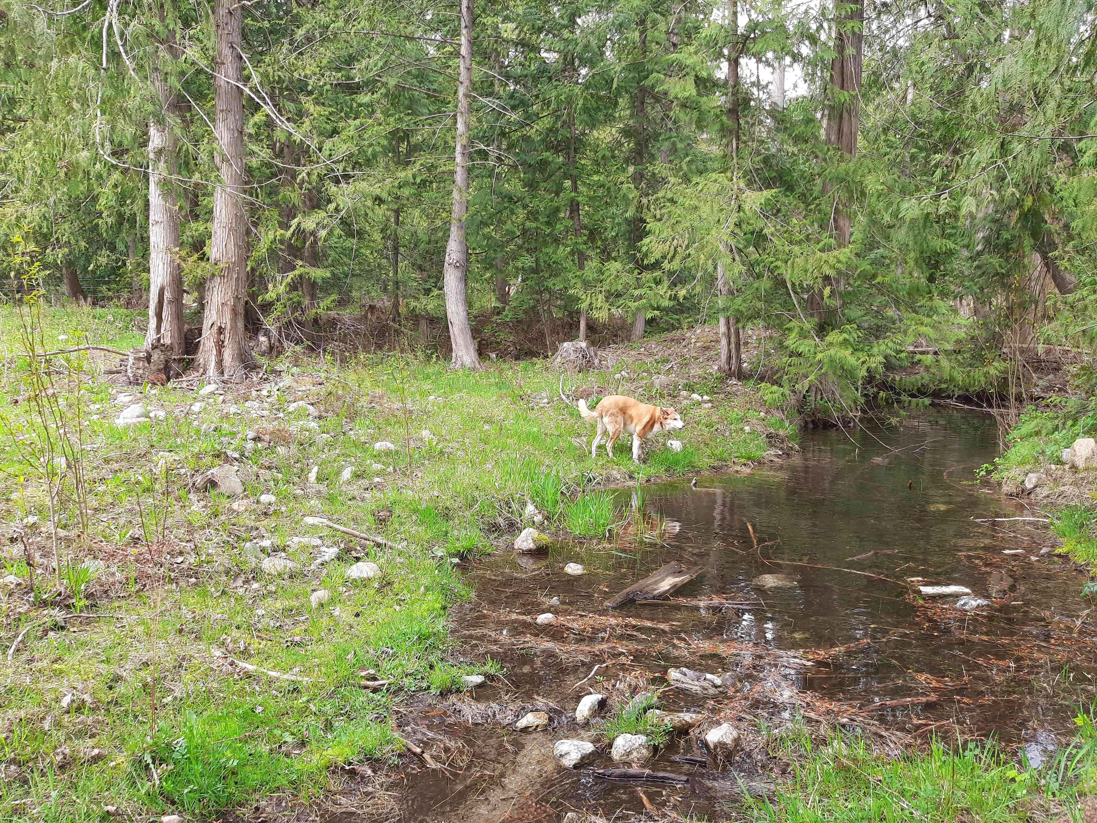 Olich Creek Farm