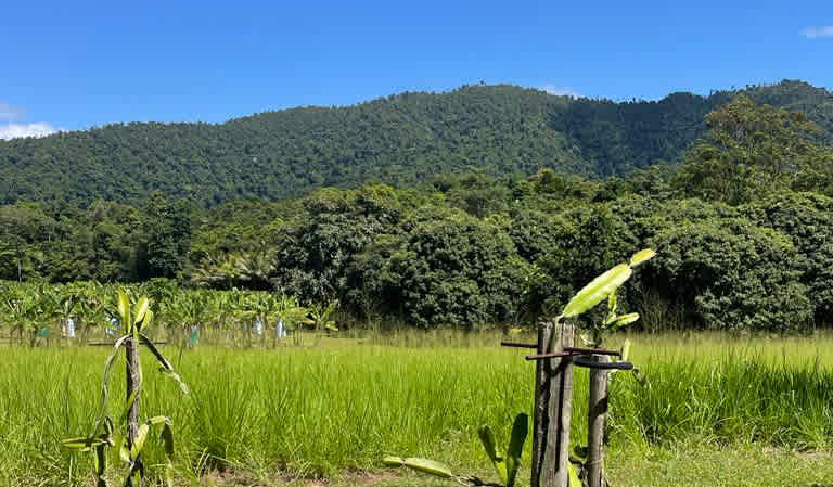 Mission Beach Farm Stay