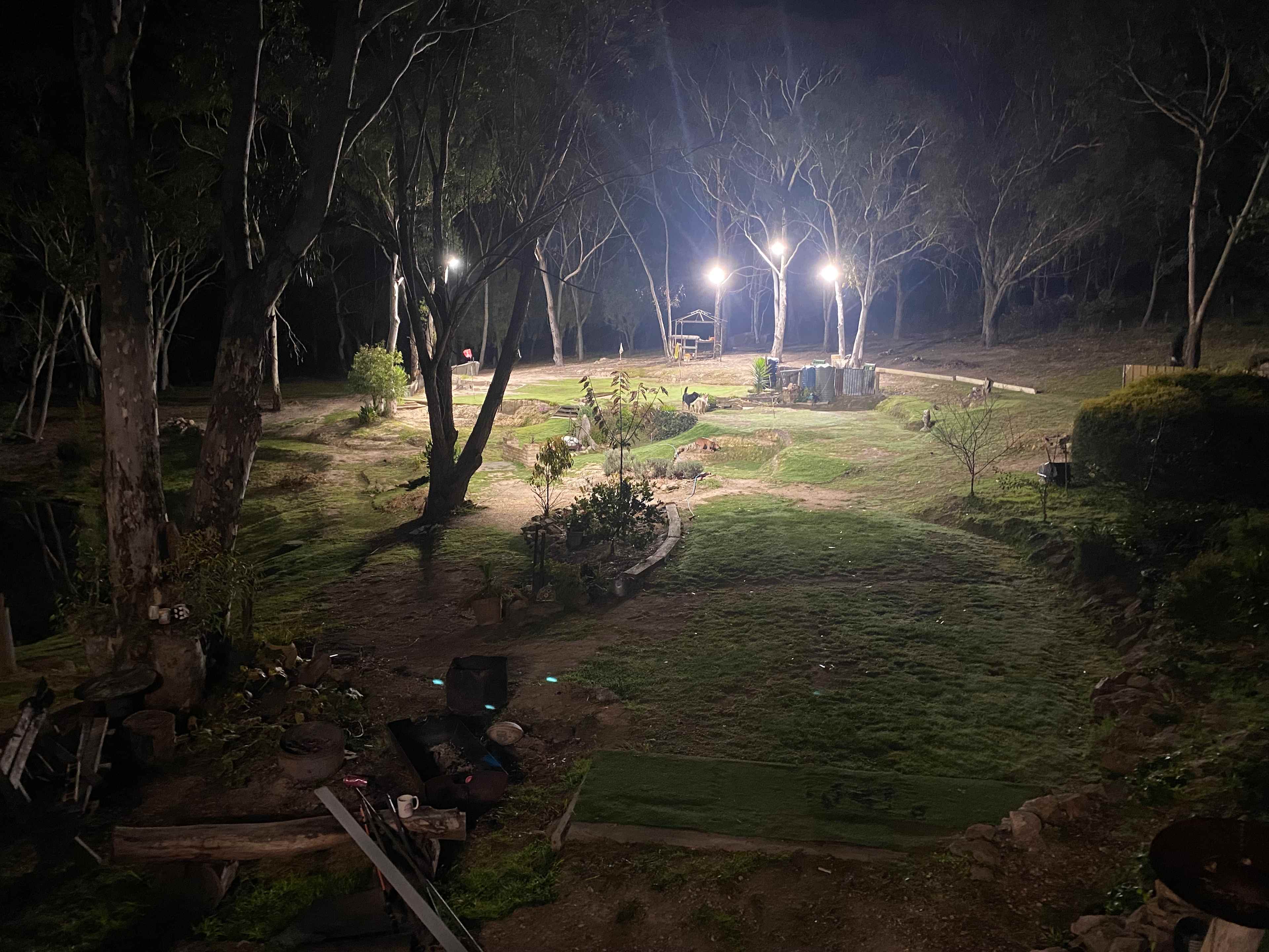 Golf holes on the property (small fee to play)
