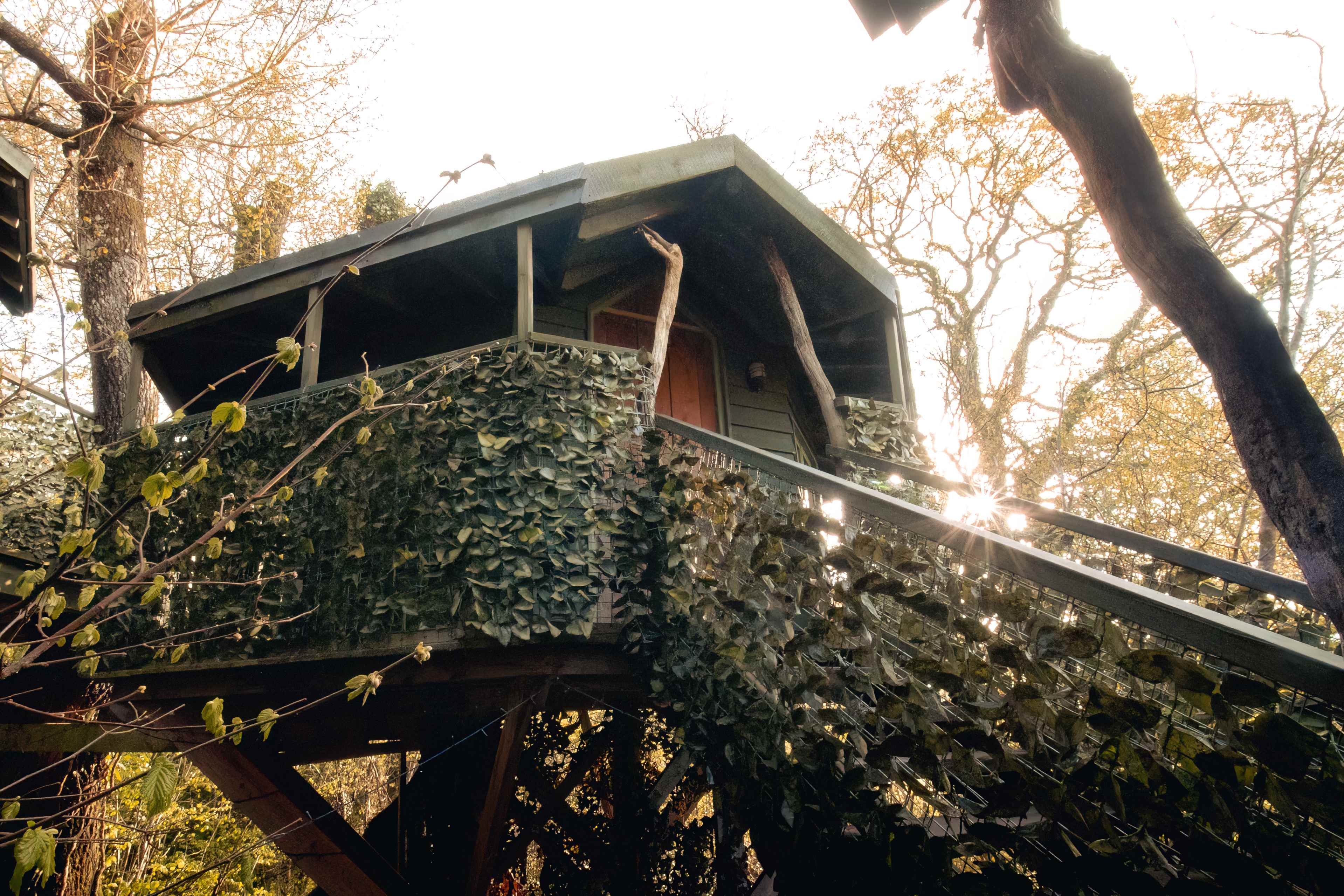 Celtic Woodland Holidays