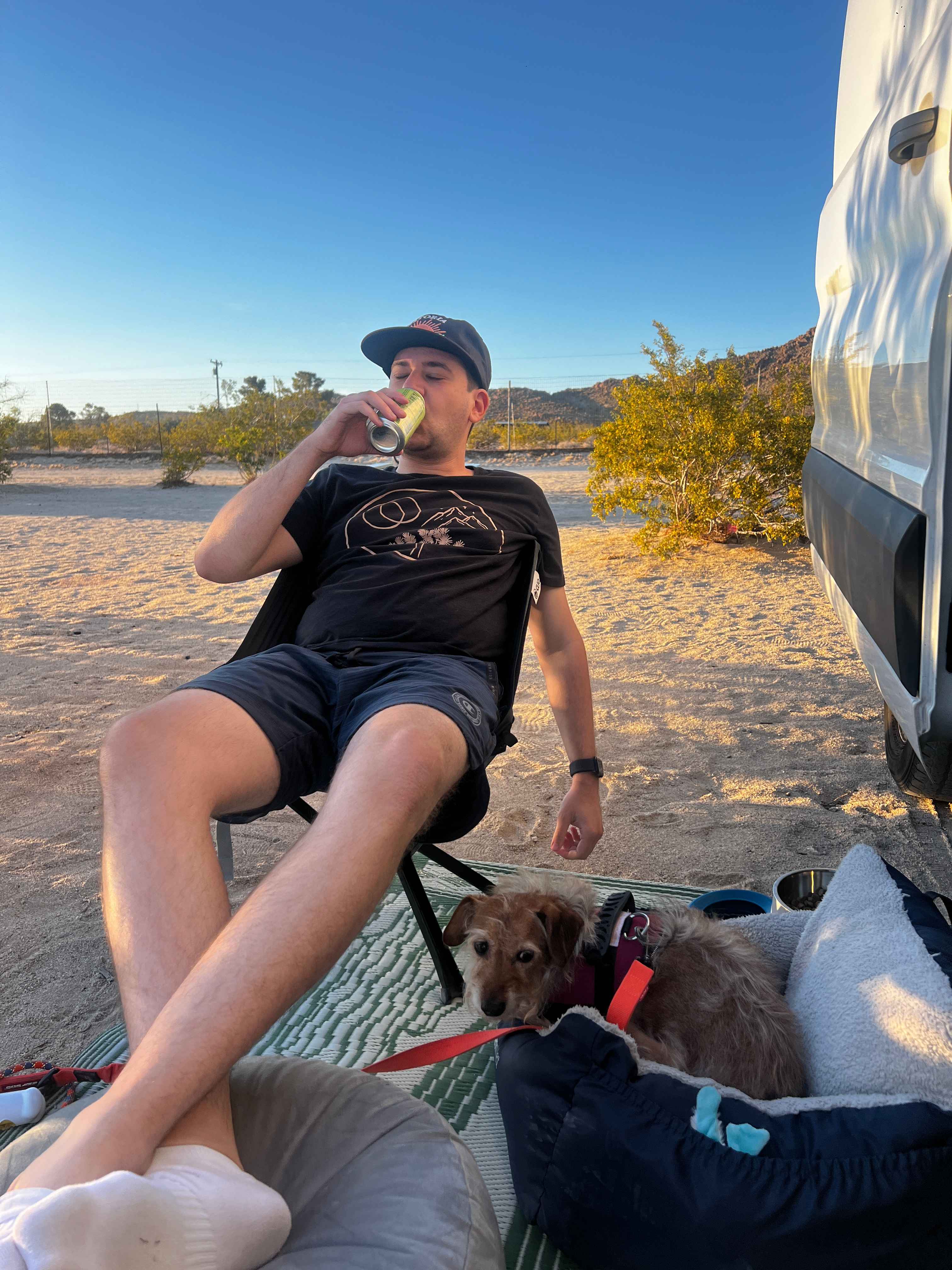 Joshua Tree Lake RV & Campground