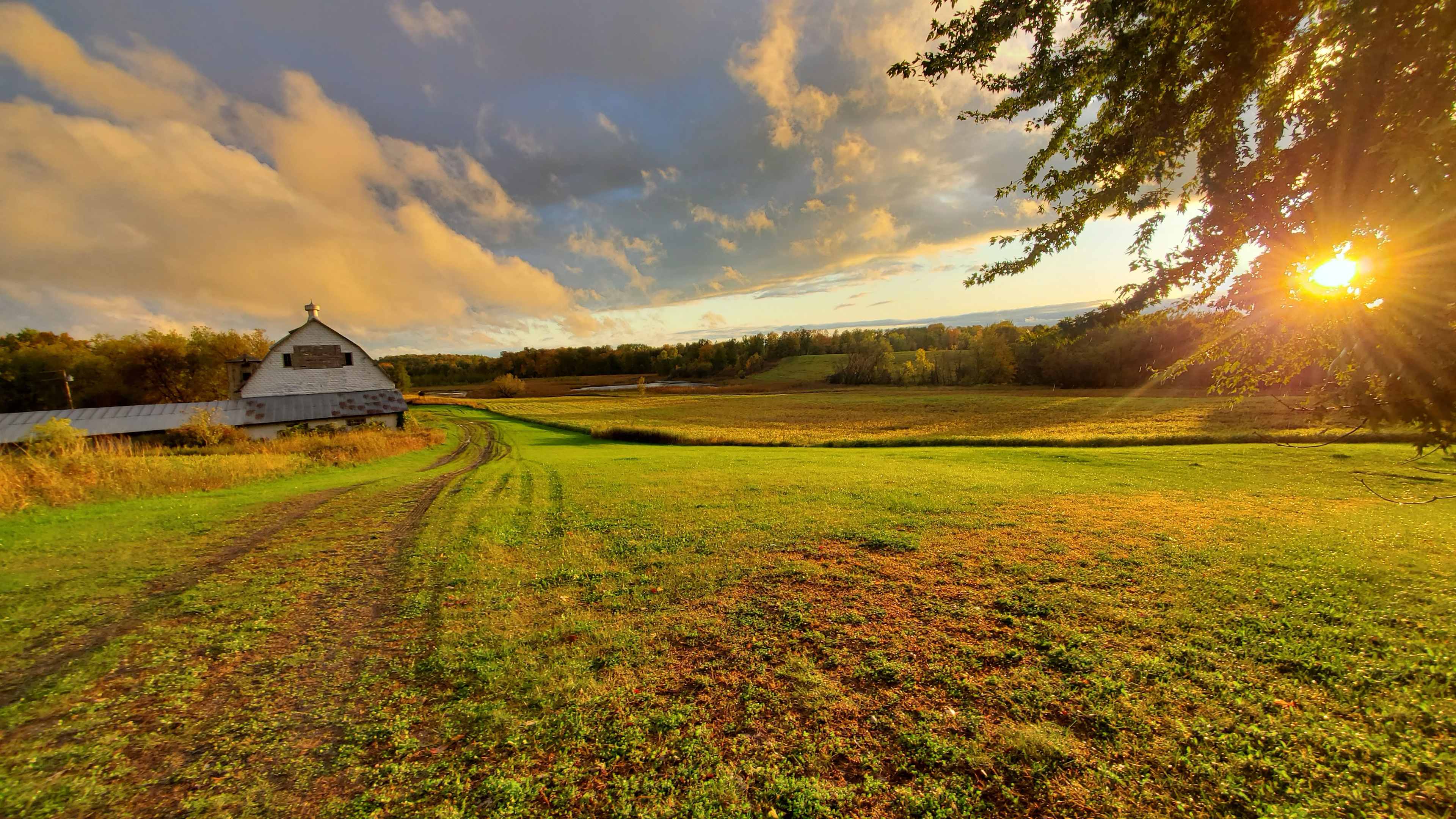 Rustic Haven Retreat on 80 acres