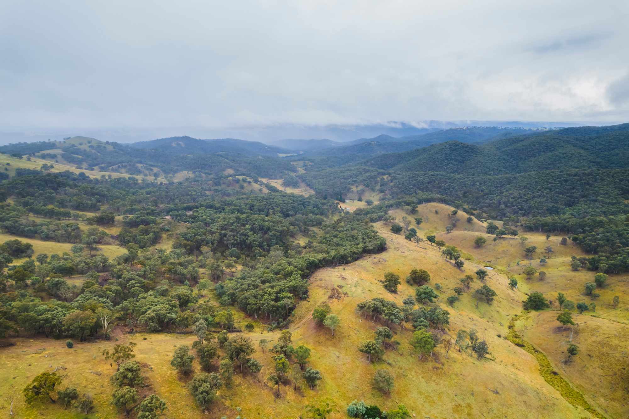 Birds eye view of the surrounds