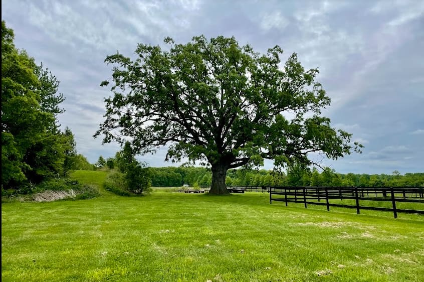 Heartland Homestead