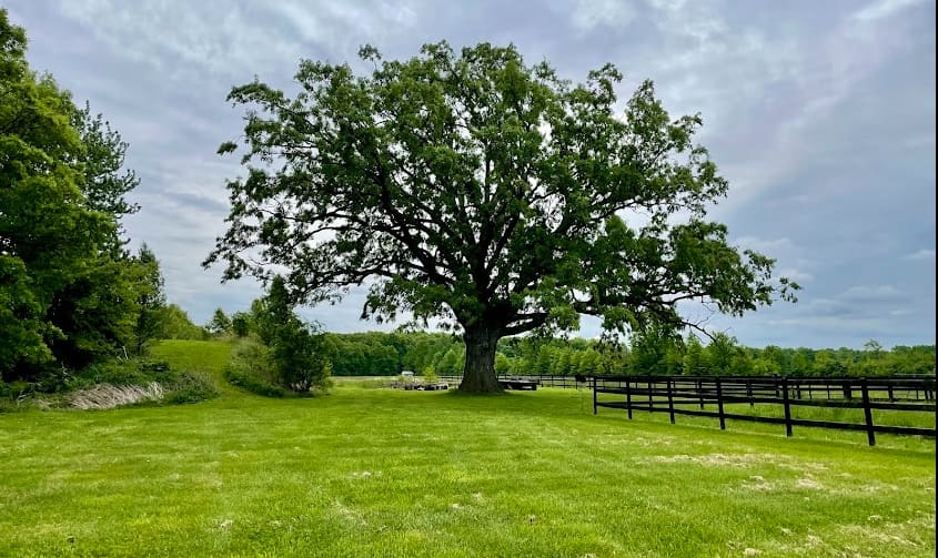 Heartland Homestead