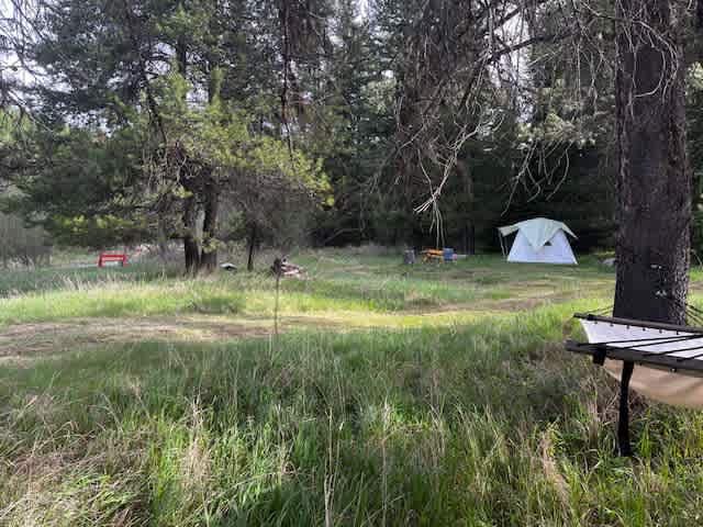 Wild Farm Camp
