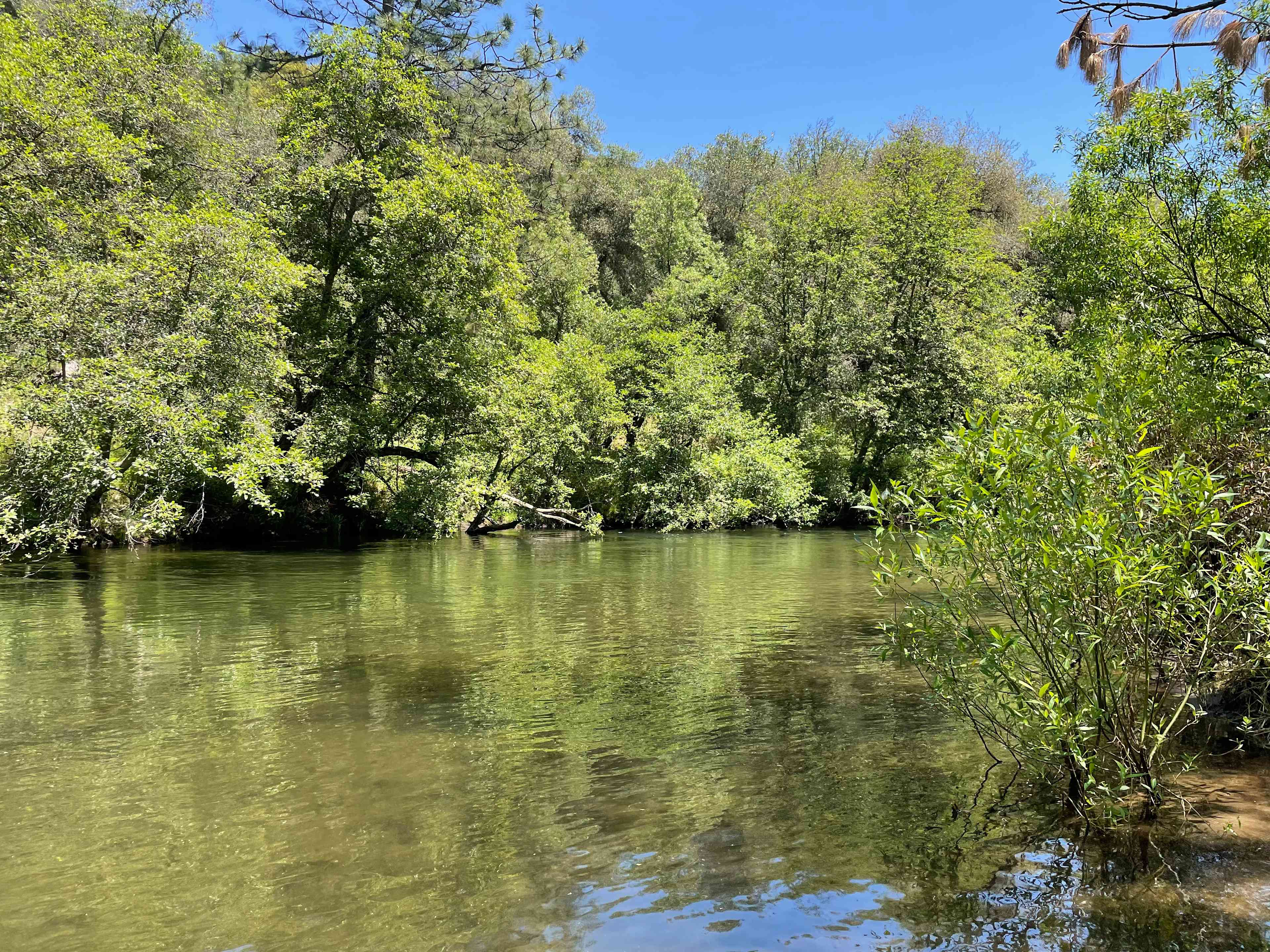 Cosumnes River Somerset Camp