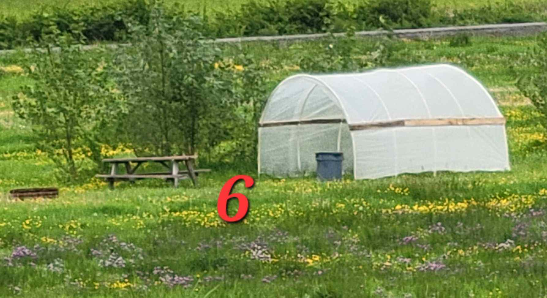 Roney River Ranch