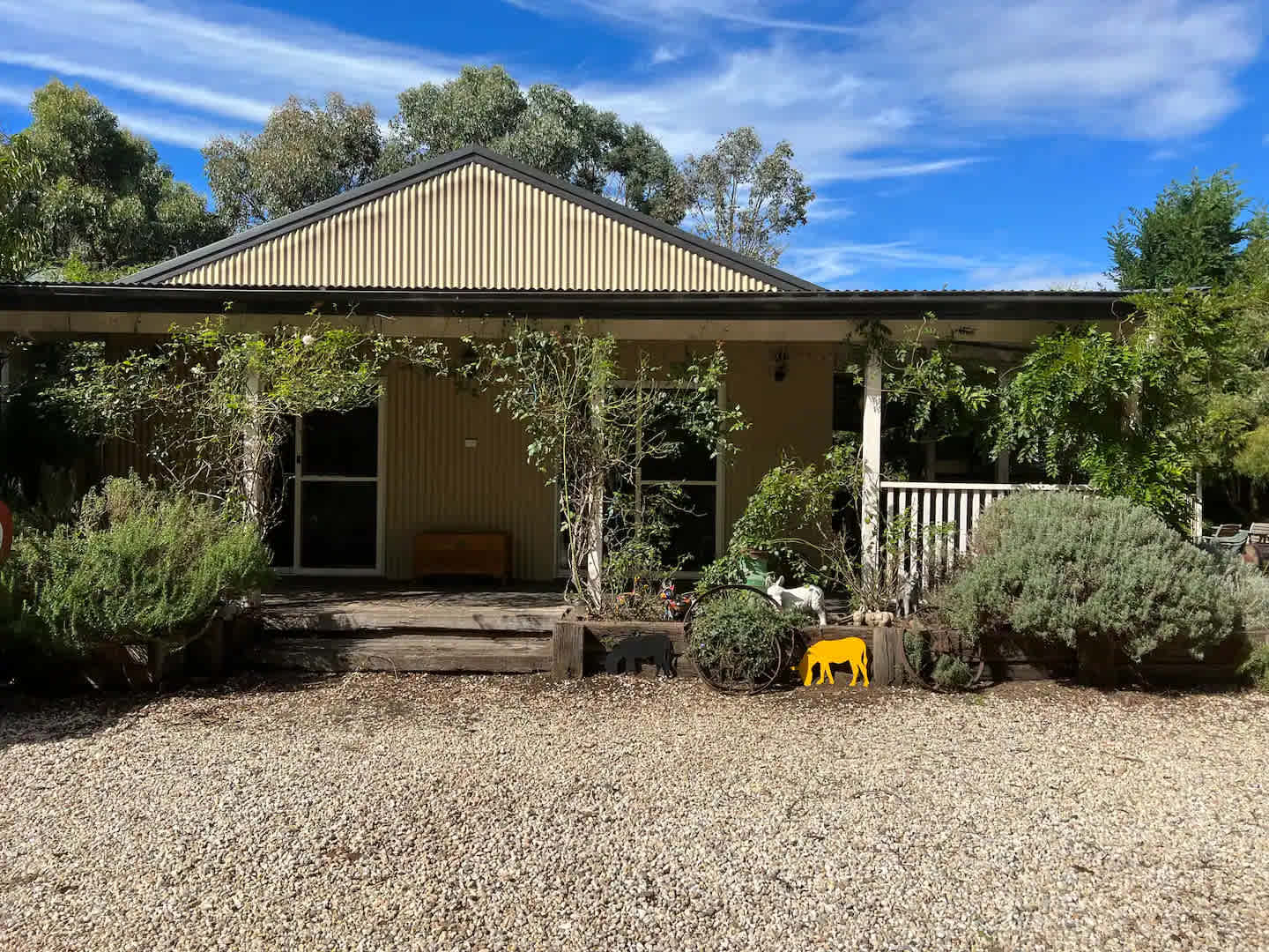 Miniature Donkey Farm Stay